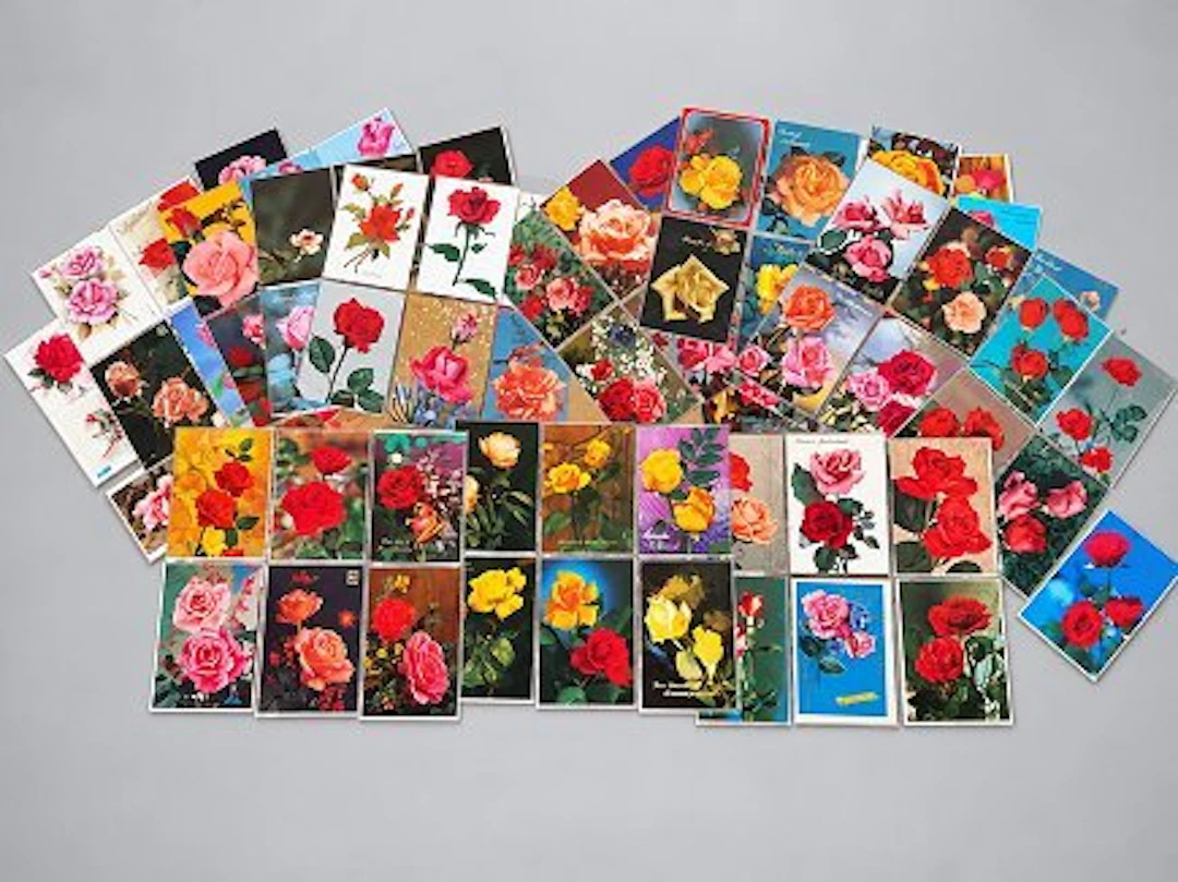 Casket (500) - Cardboard - Postcards theme: roses