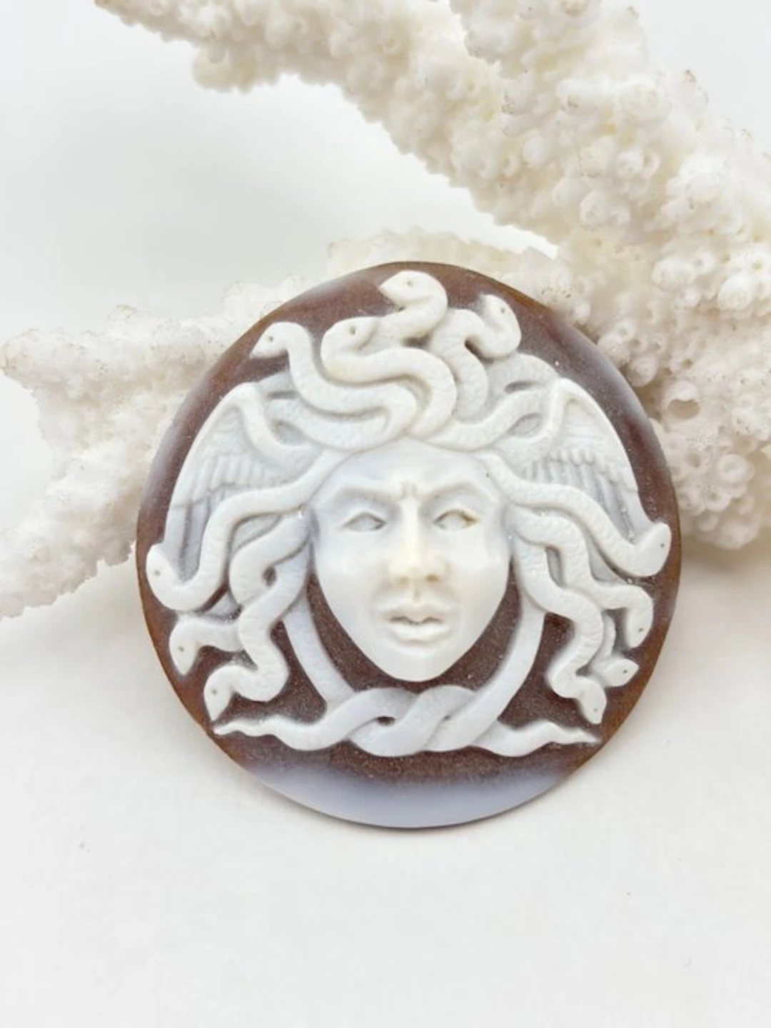 Cassis madagascariensis - Cameo - Hand-carved cameo