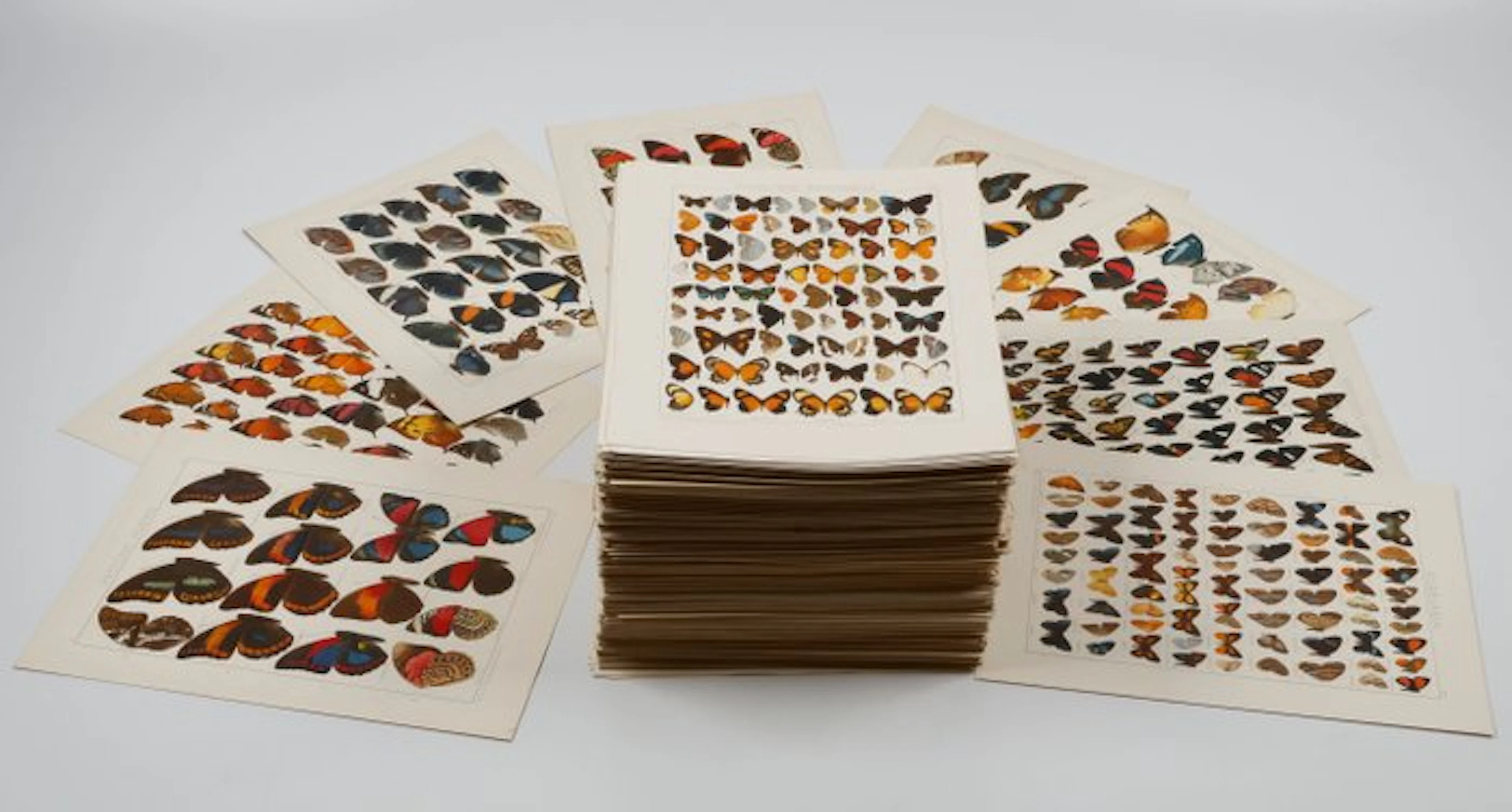 Adalbert Seitz - 1000 magnificent full colour lithographs...
