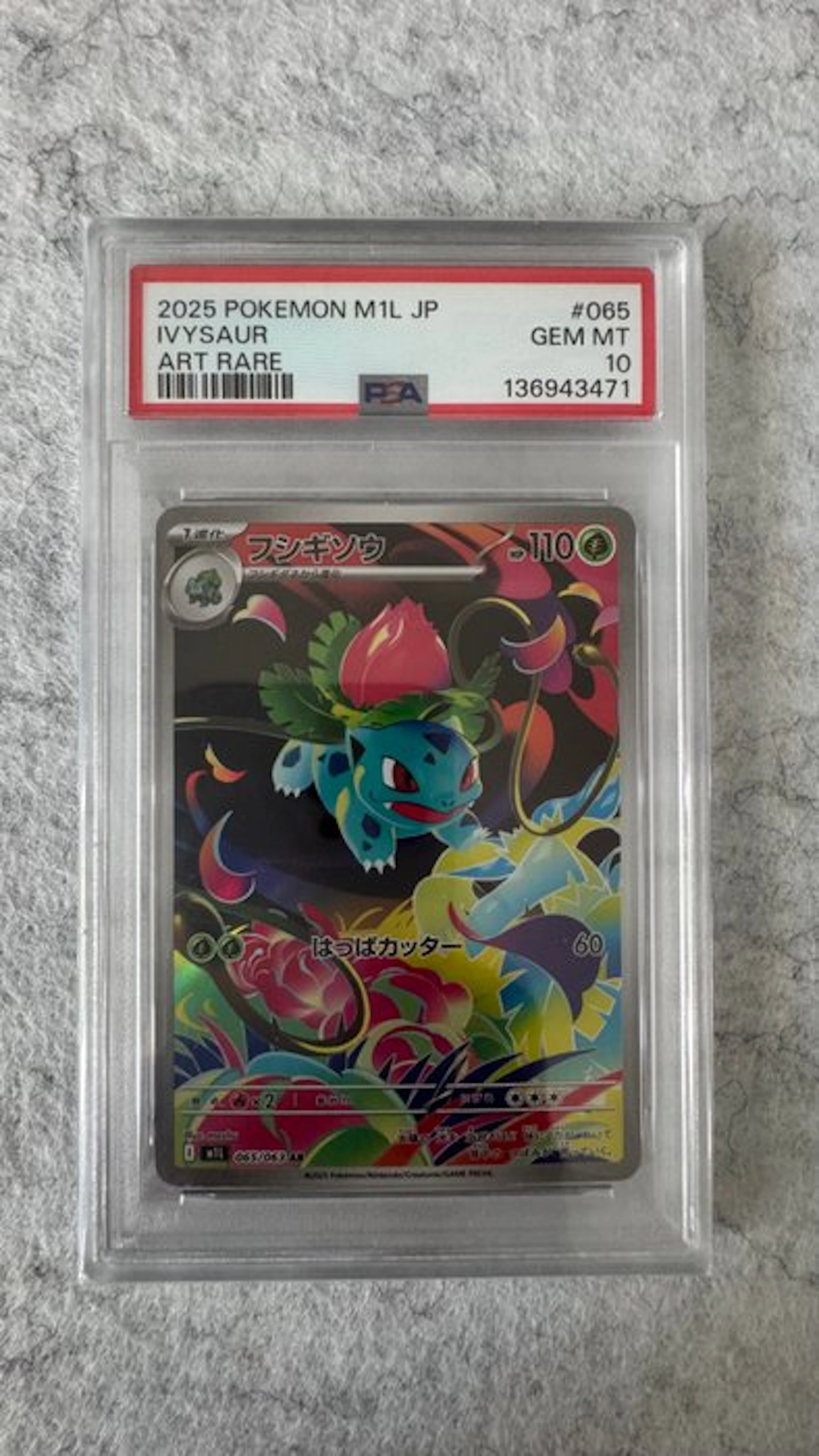 Pokémon - 1 Graded card - Ivysaur #065 Full art
