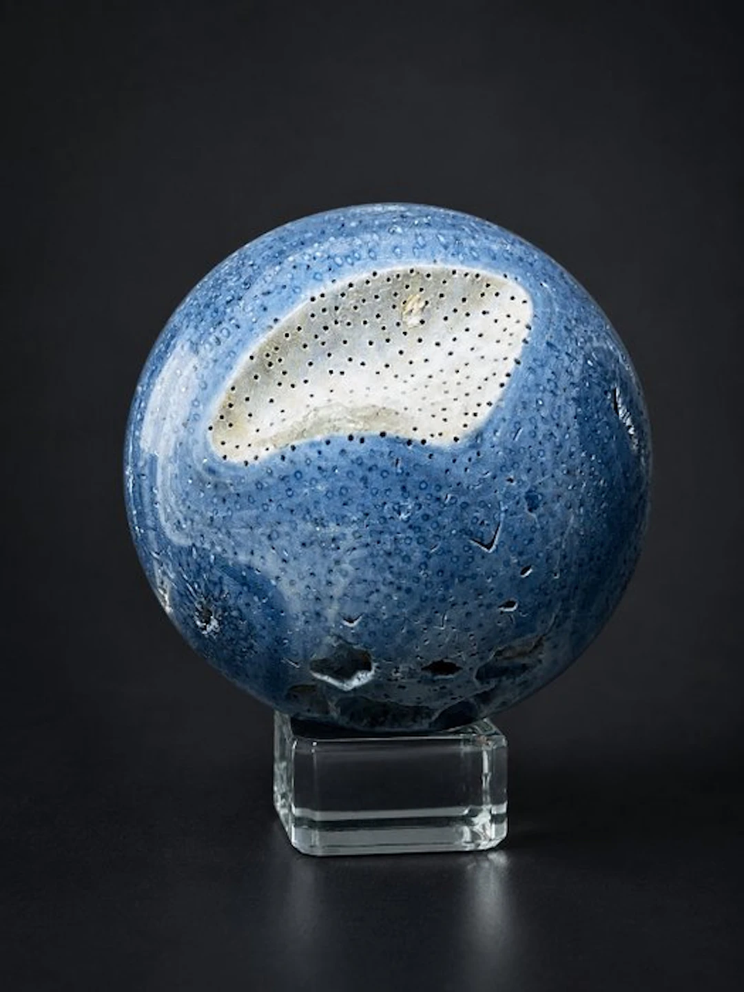 Decorative Rare Blue Coral Sphere – Maritime Beauty in...
