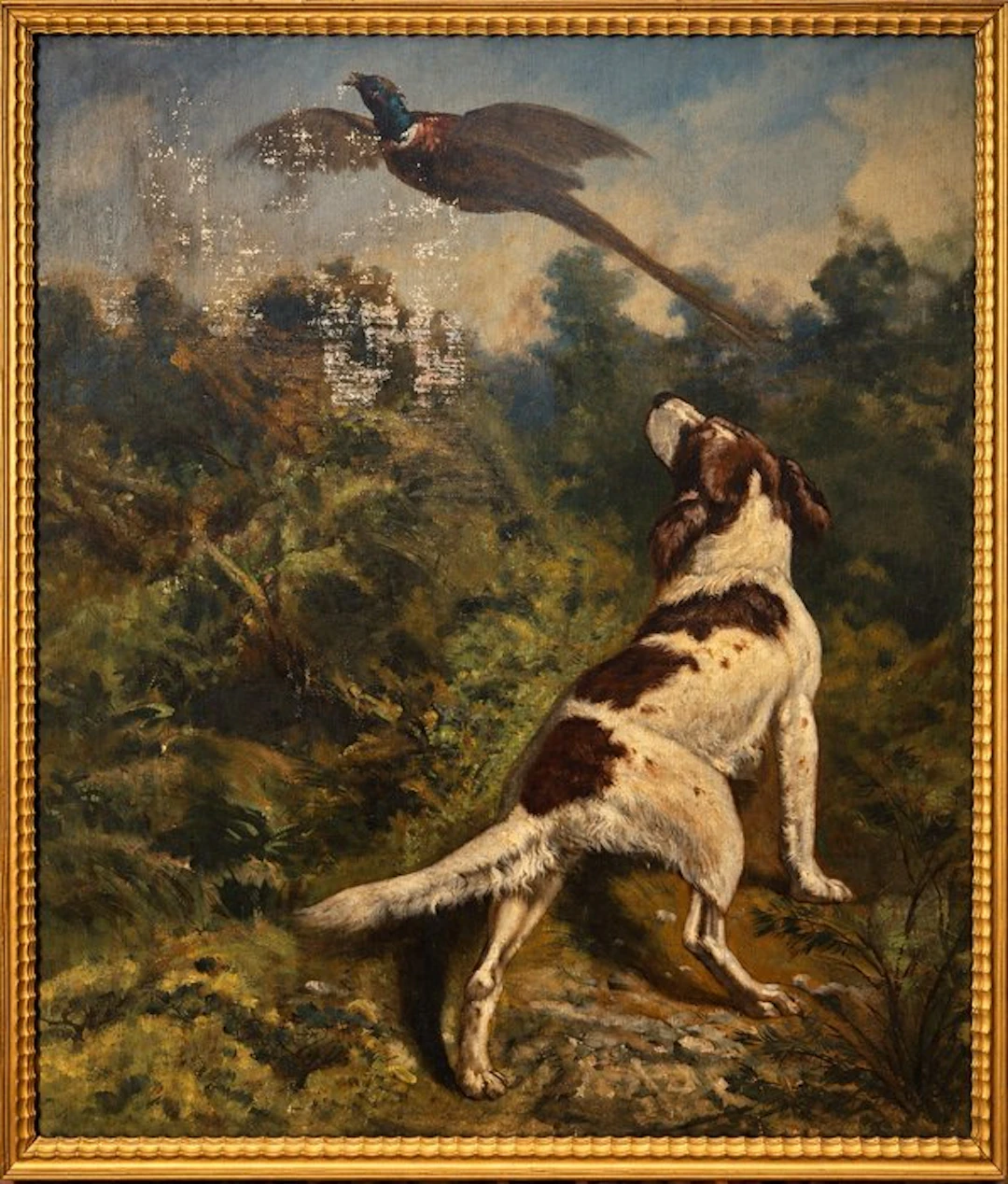 European school (XIX) - Chien de chasse à l’arrêt devant un faisan