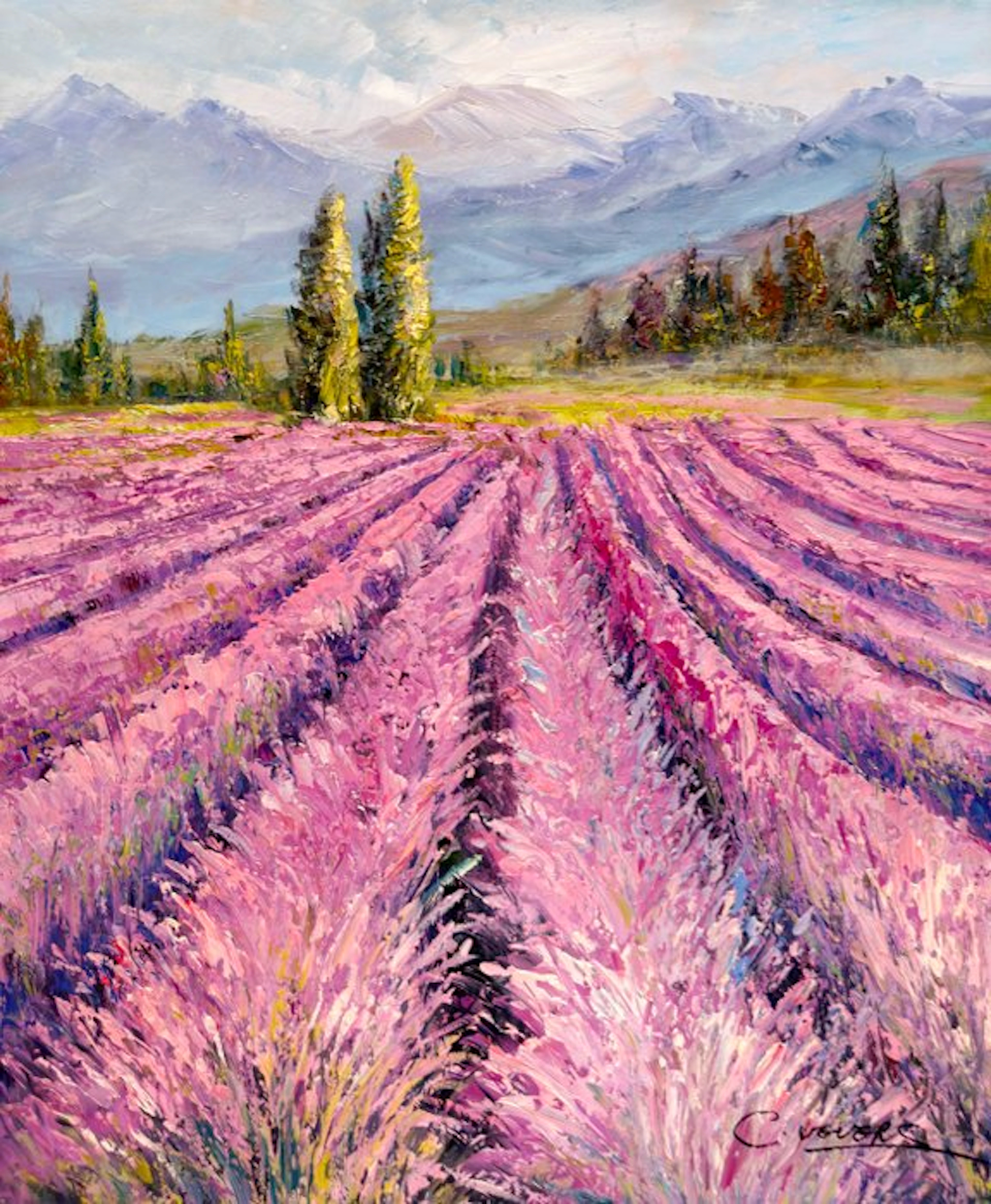 Christof Vevers (1962) - Lavandes au Pied de la Montagne – Valensole Provence