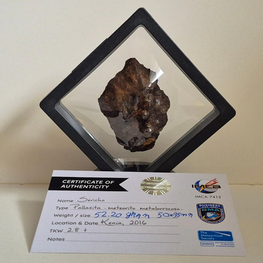 Sericho meteoriet pallasite + echtheid certificaat Iron...