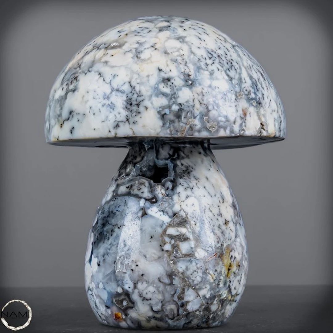 Extraordinary Dendritenopal fungus with crystal drusen from Brazil- 1594.99 g