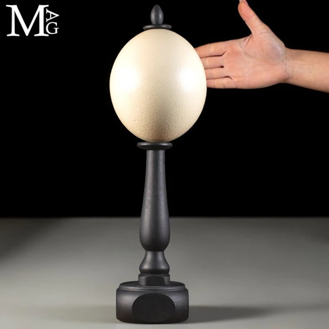 Genuine Ostrich Egg (Struthio camelus) with Distinctive...