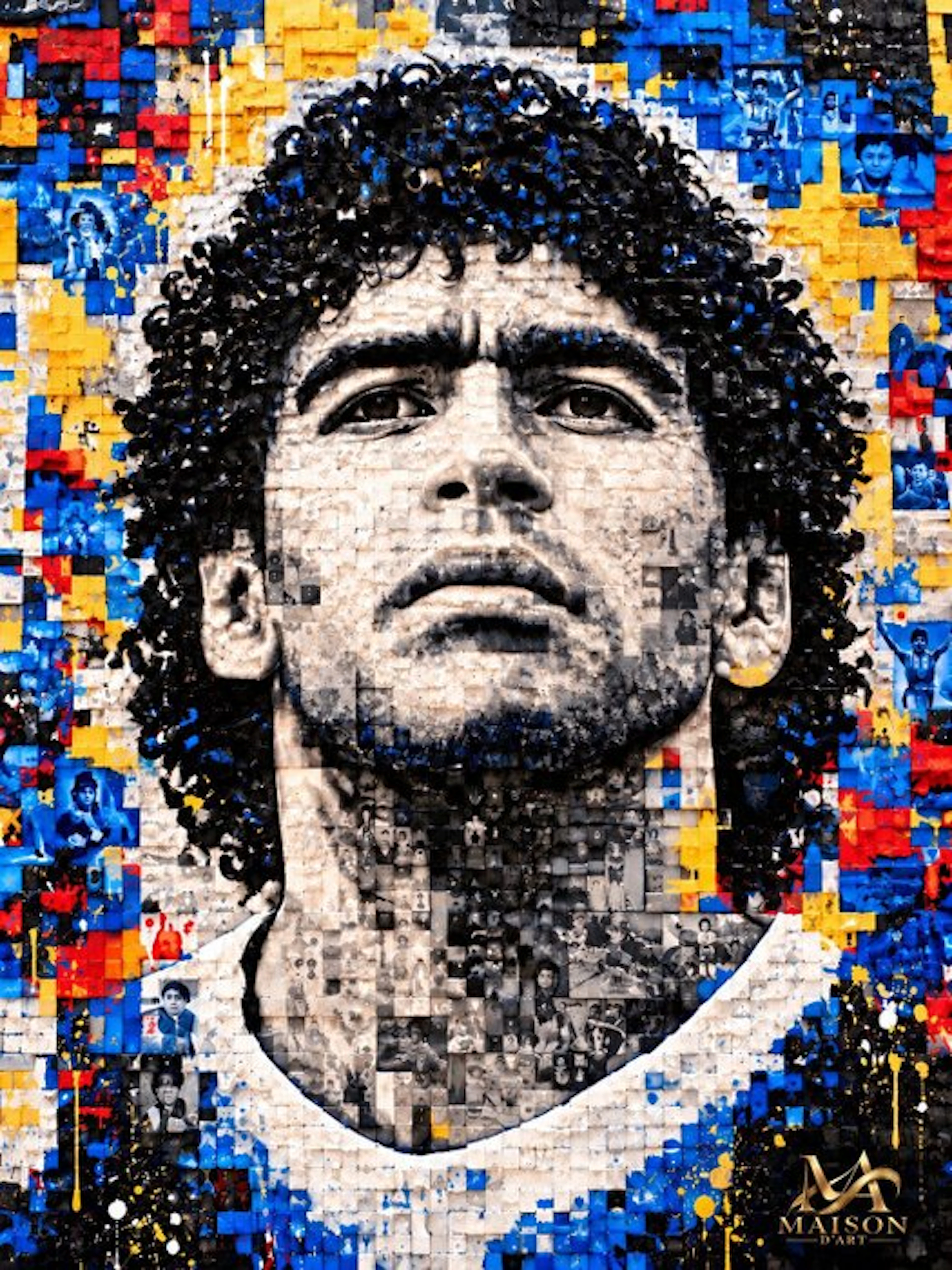 LEGO Merchandise - 2026 Diego – The LEGO Mosaic