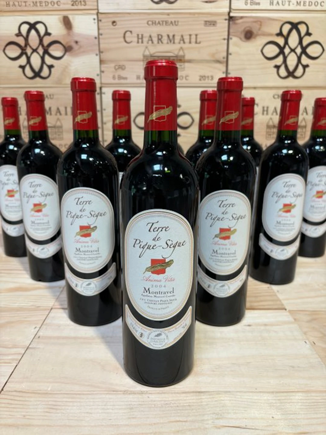 2004 Château Terre de Pique-Sègue Anima Vitis - montravel - 12 Bottles (0.75L)
