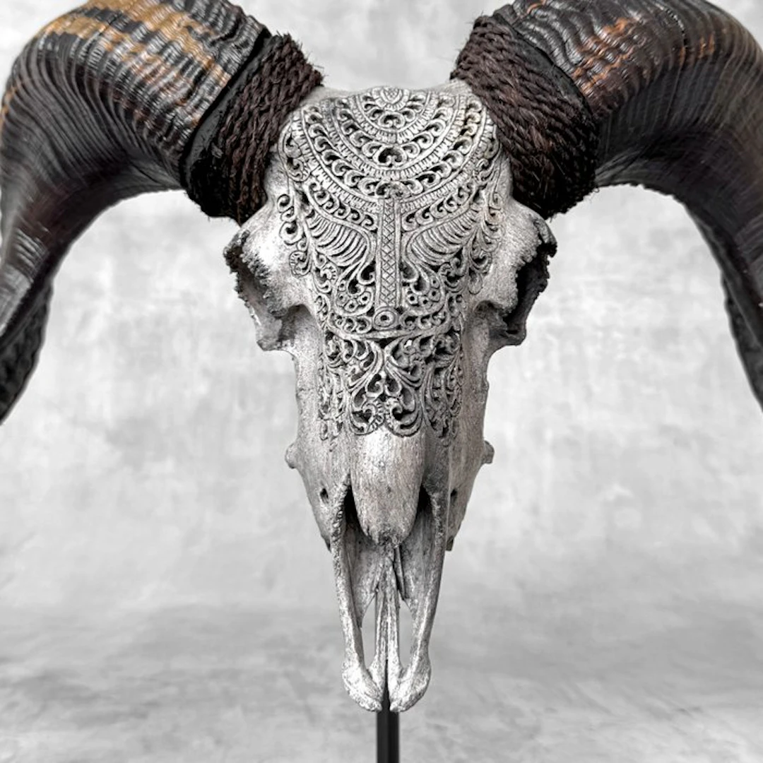 NO RESERVE PRICE - C - Authentic Grey Carved Ram Skull...