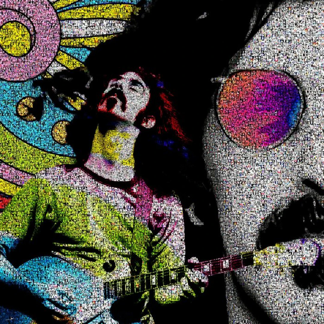 David Law - Crypto Zappa Live