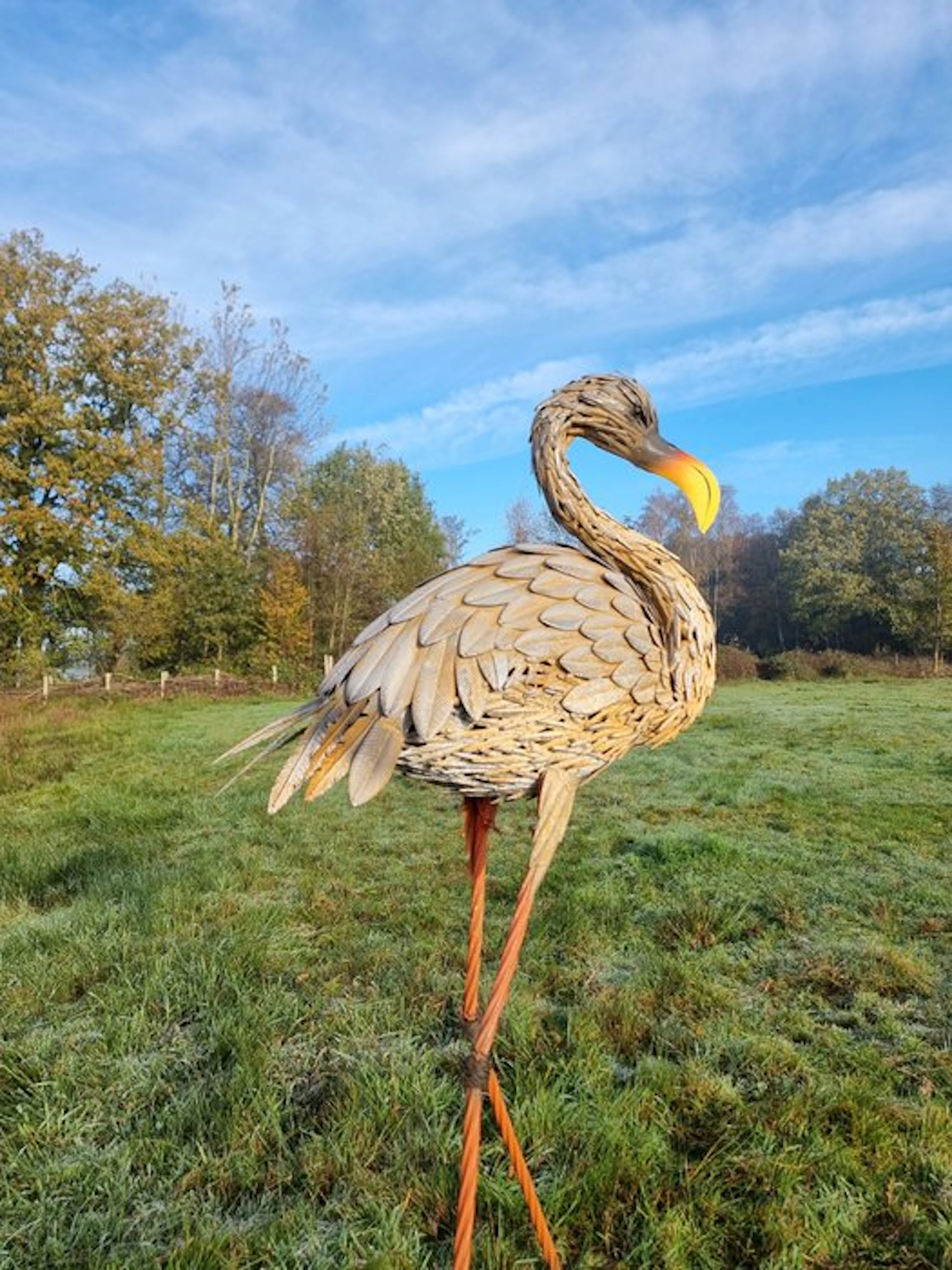 Figure - Xl Kraanvogel - Iron, Metal