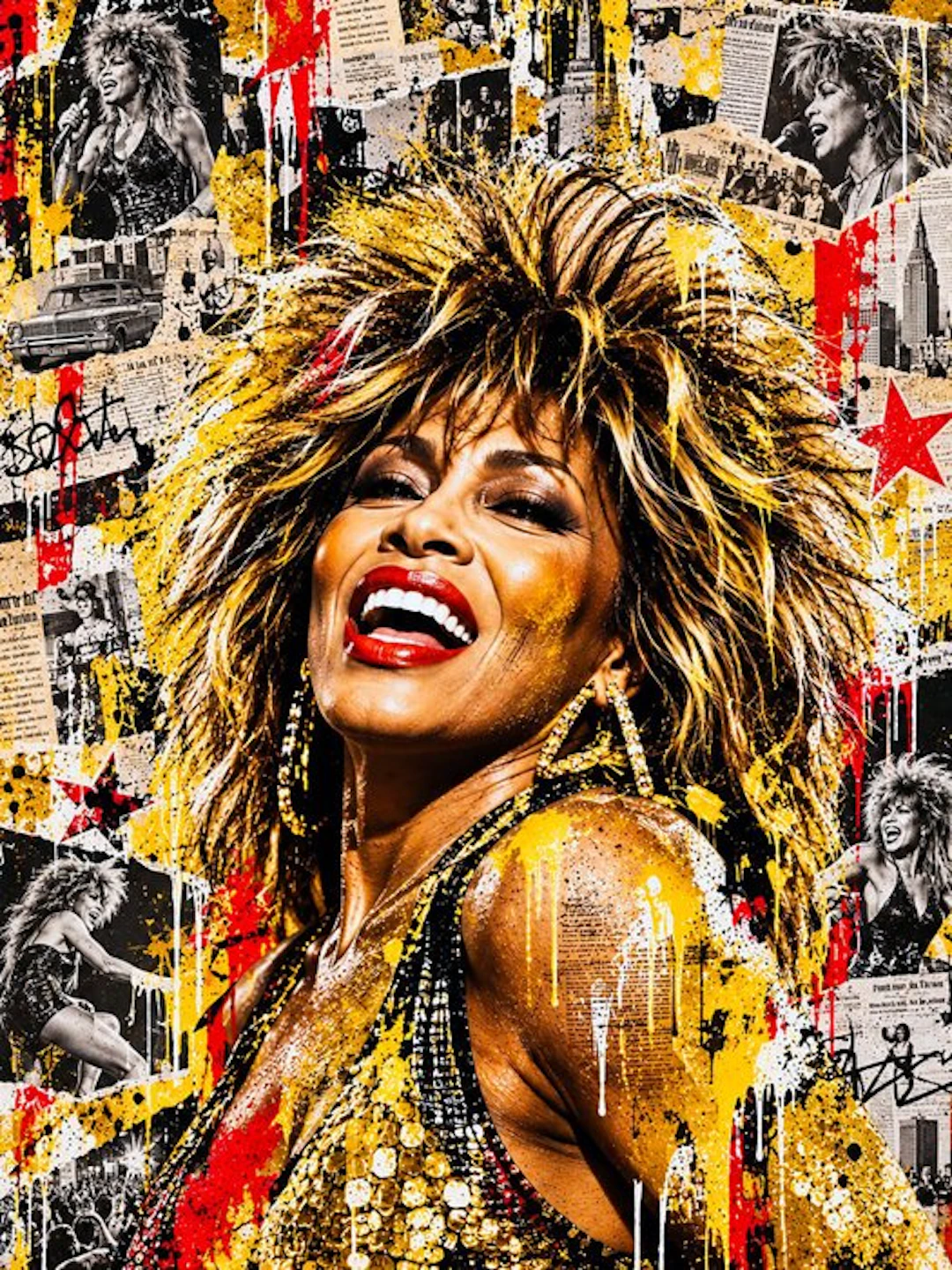 Jacon Art - Tina Turner - Simply the Best - 1/7