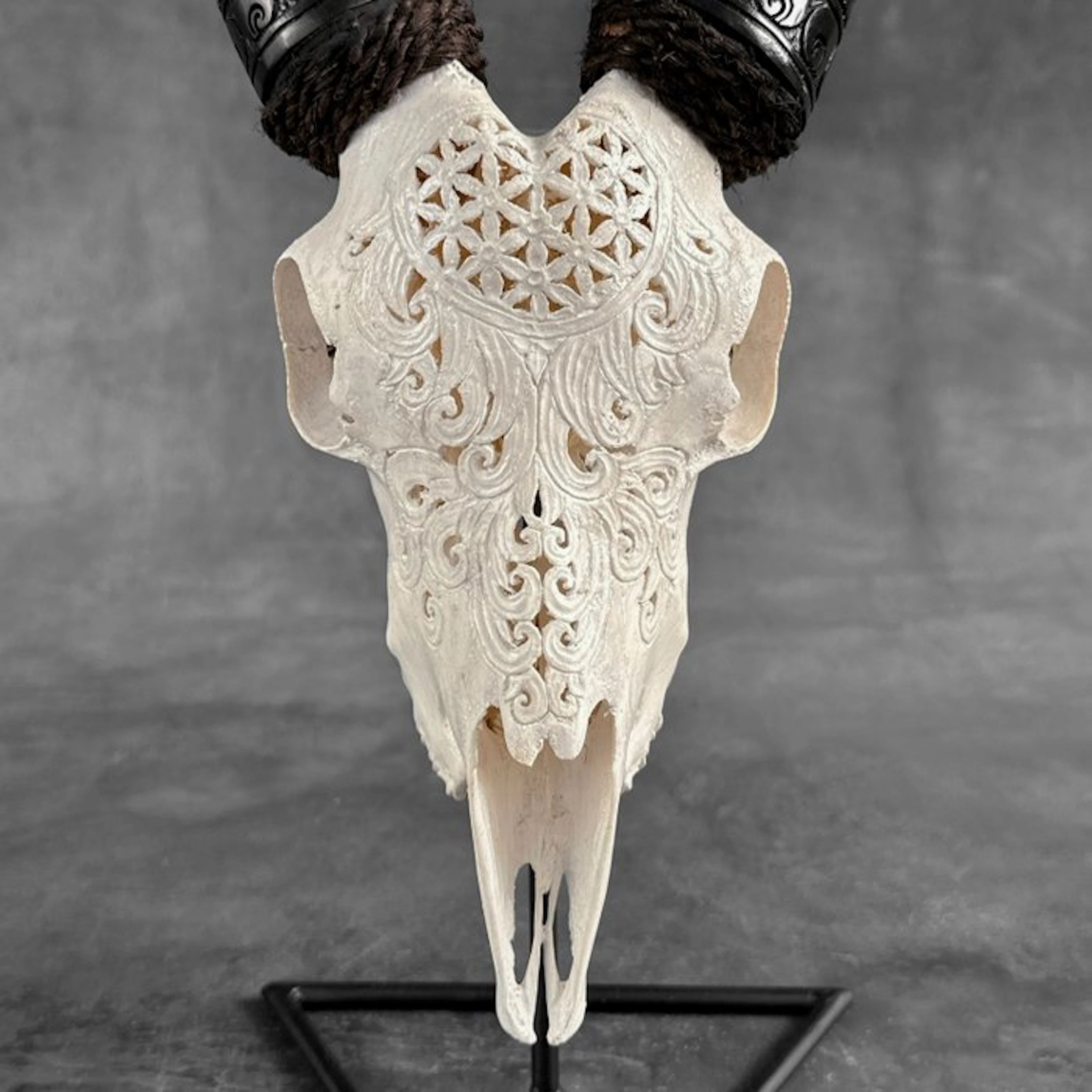 NO RESERVE PRICE - Authentic Hand Carved White Goat Skull...
