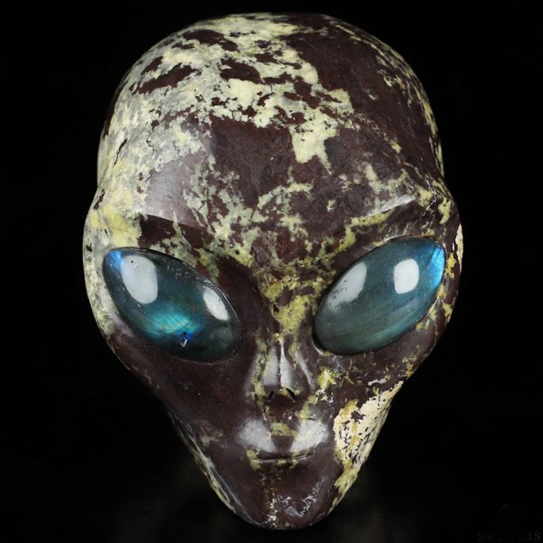 1.12 Kg 10.20 x 10.00 cm Cosmic Traveller female Visitor...