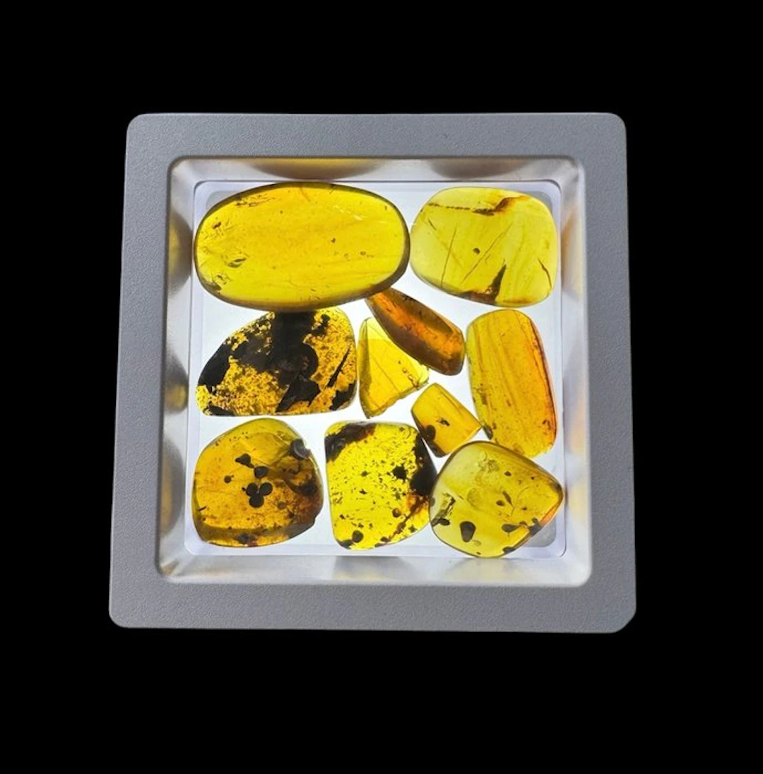 Burmese amber - Amber - 10 Burmese Amber Pieces with...