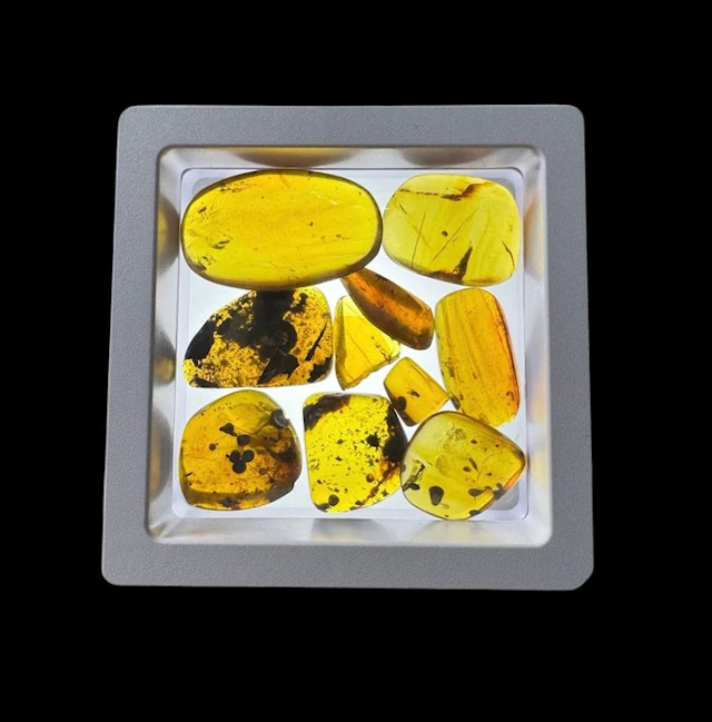 Burmese amber - Amber - 10 Burmese Amber Pieces with...