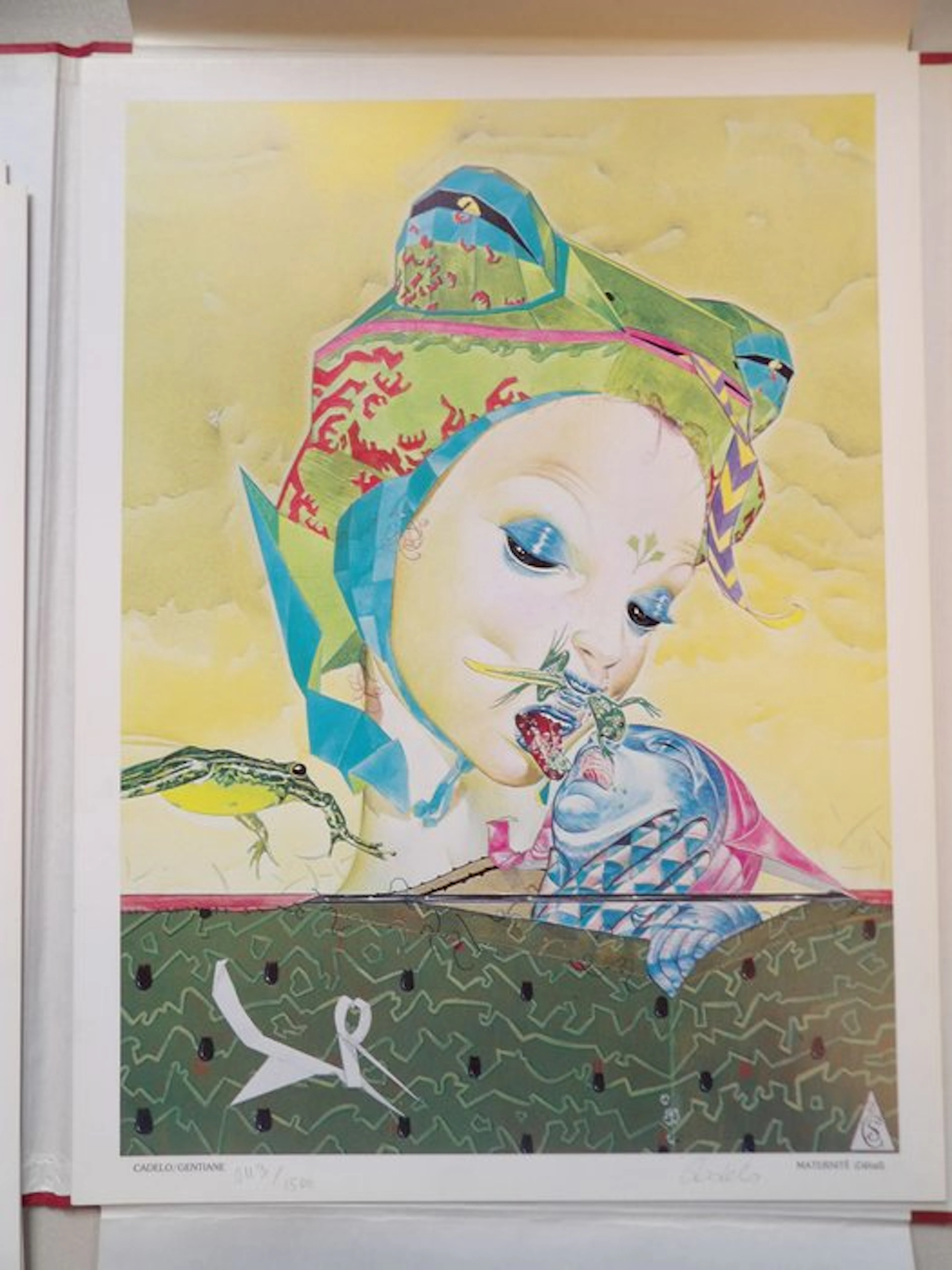 Strappi - portfolio - Silvio Cadelo - 7 x zeefdruk +...