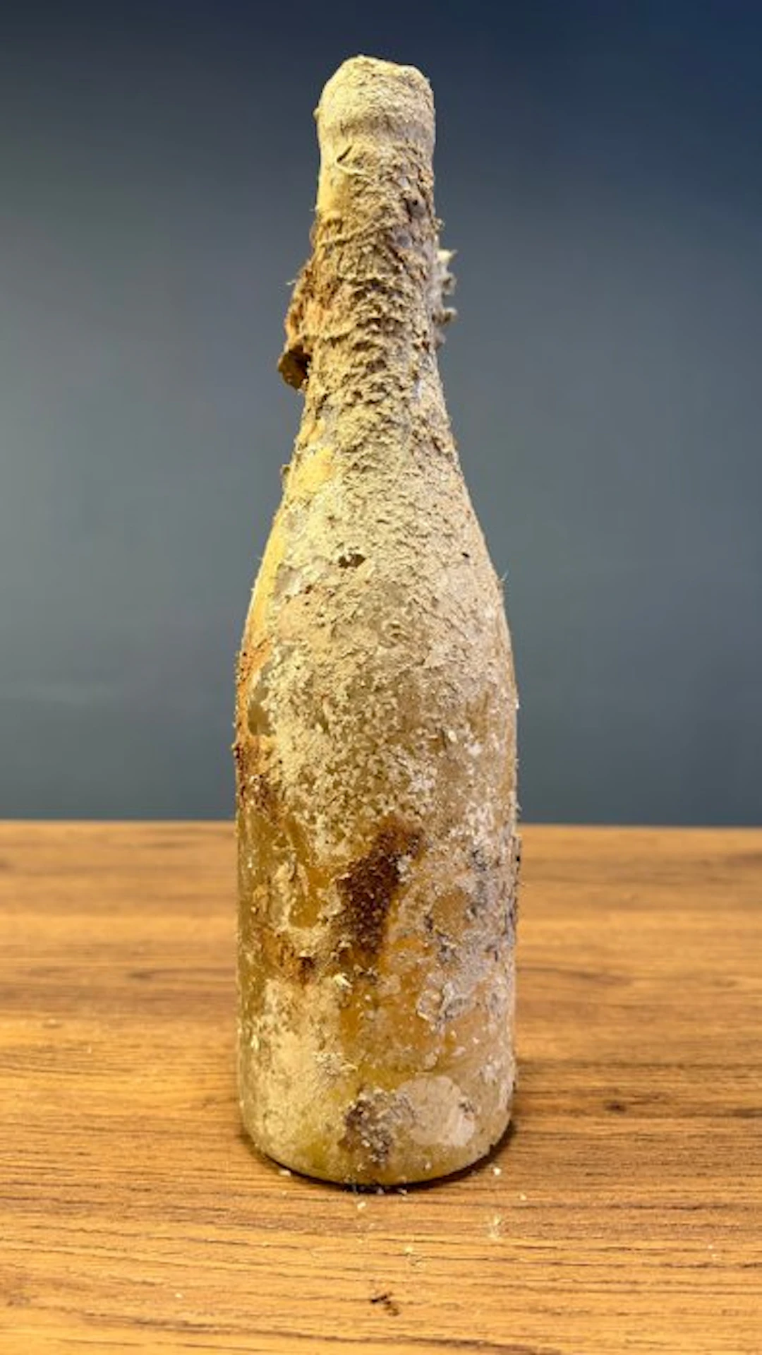 2021 Bodega Submarina del Mediterraneo - The Sea Wine Club