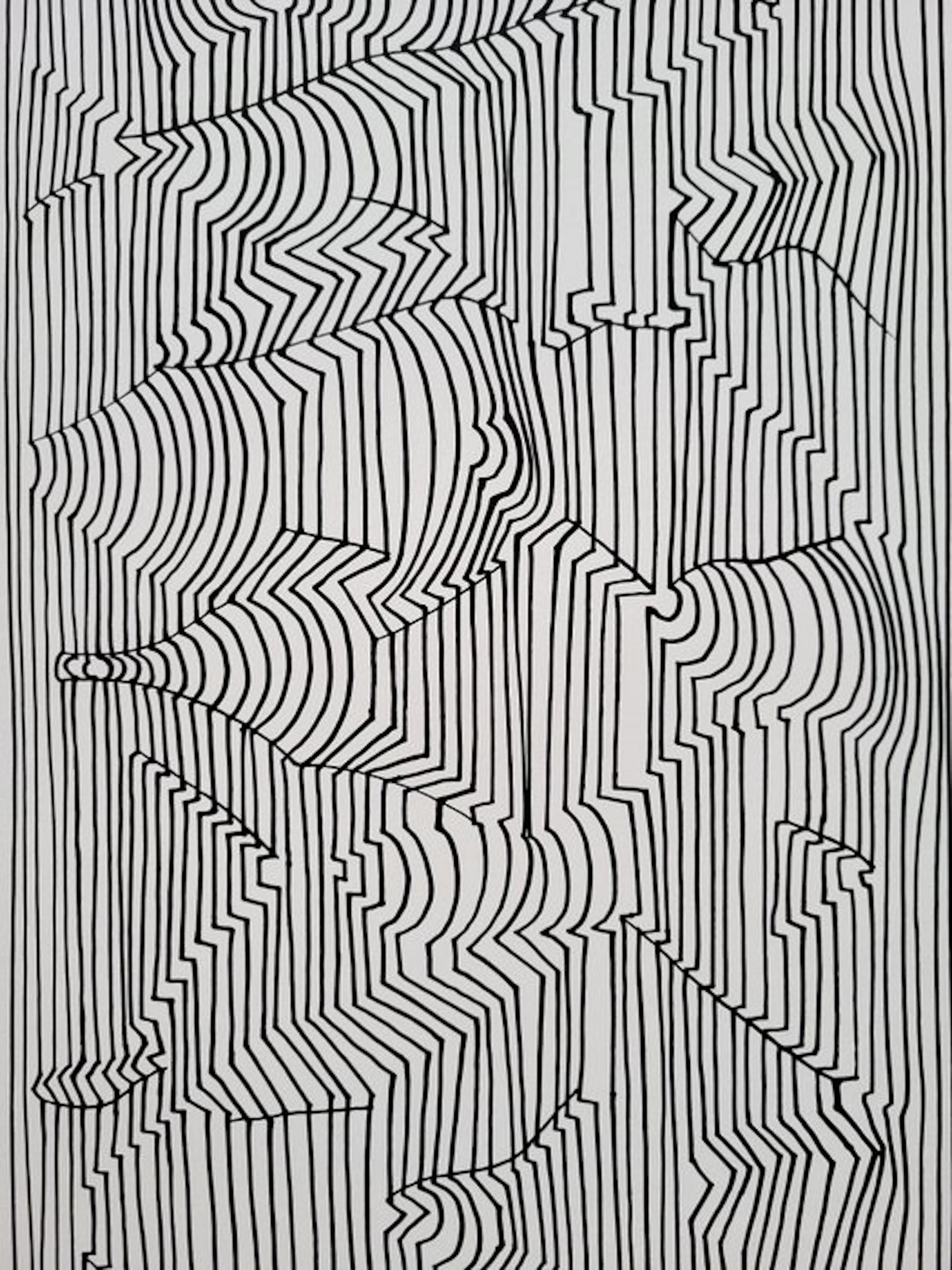 Victor Vasarely (1906-1997) - Naissances - 1, tirage rare et épuisé
