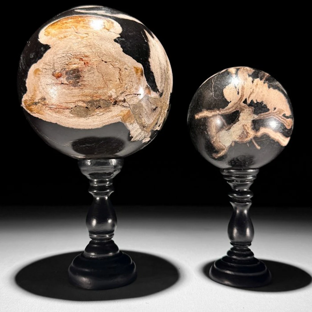 Stunning Pair of Petrified Wood - Fossilised wood...