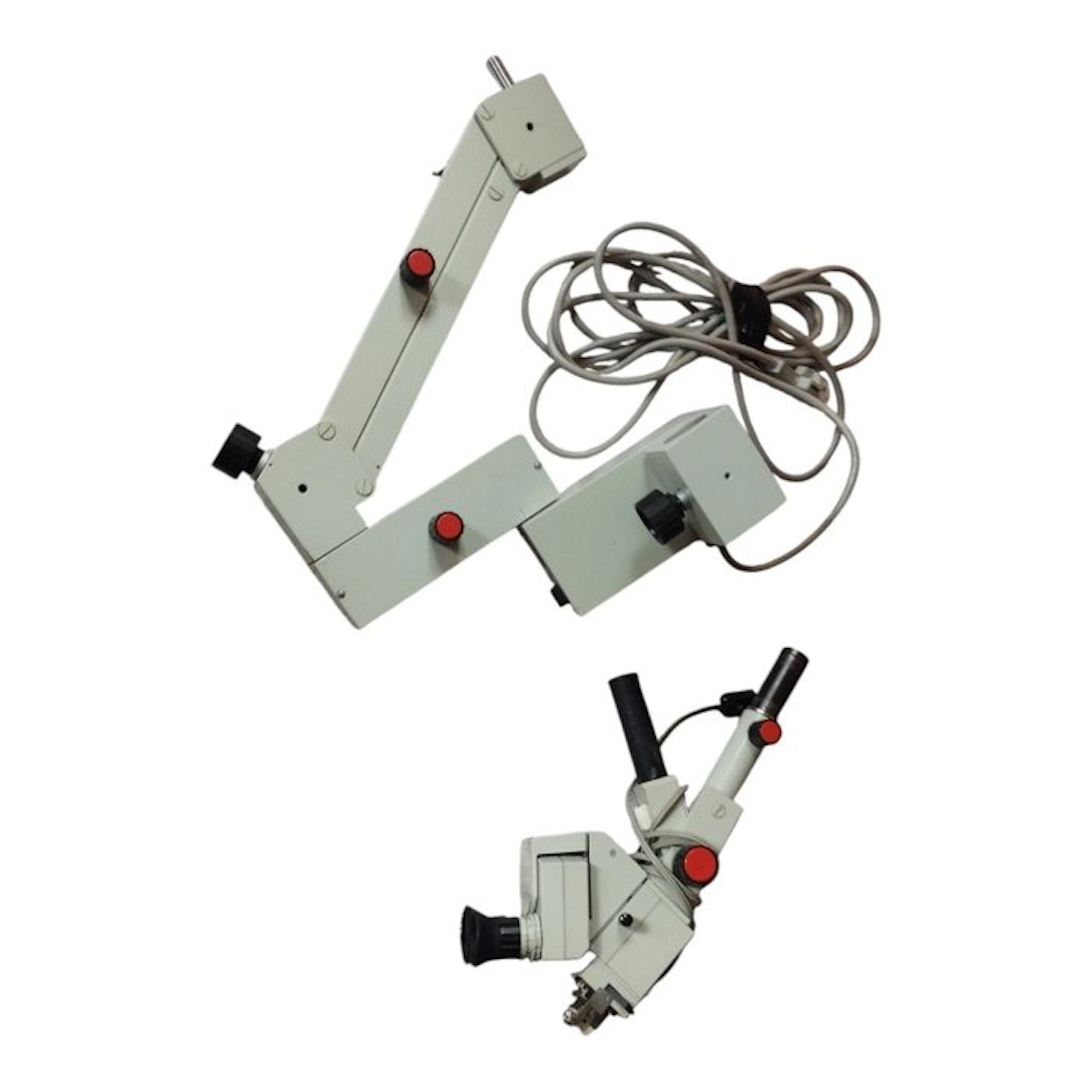 Binocular microscope - 1960-1970 - Carl Zeiss