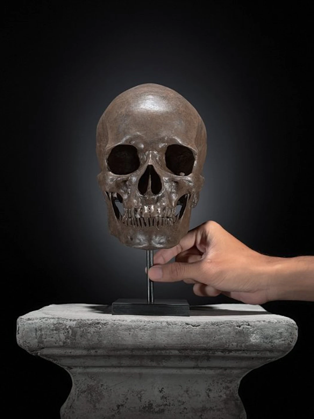 NO RESERVE PRICE - Human Skull Replica on custom stand...