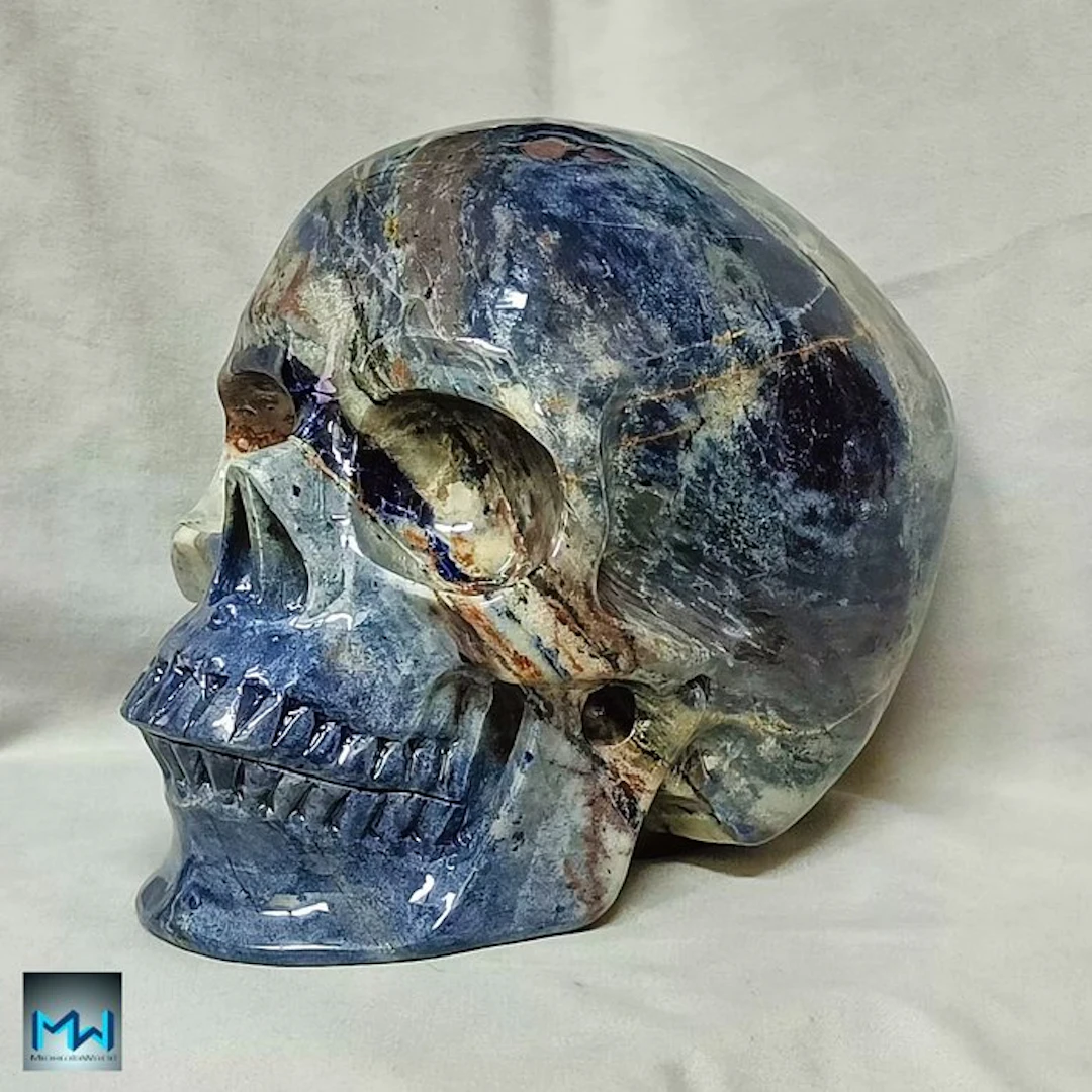 8" Enormous Human Skull
