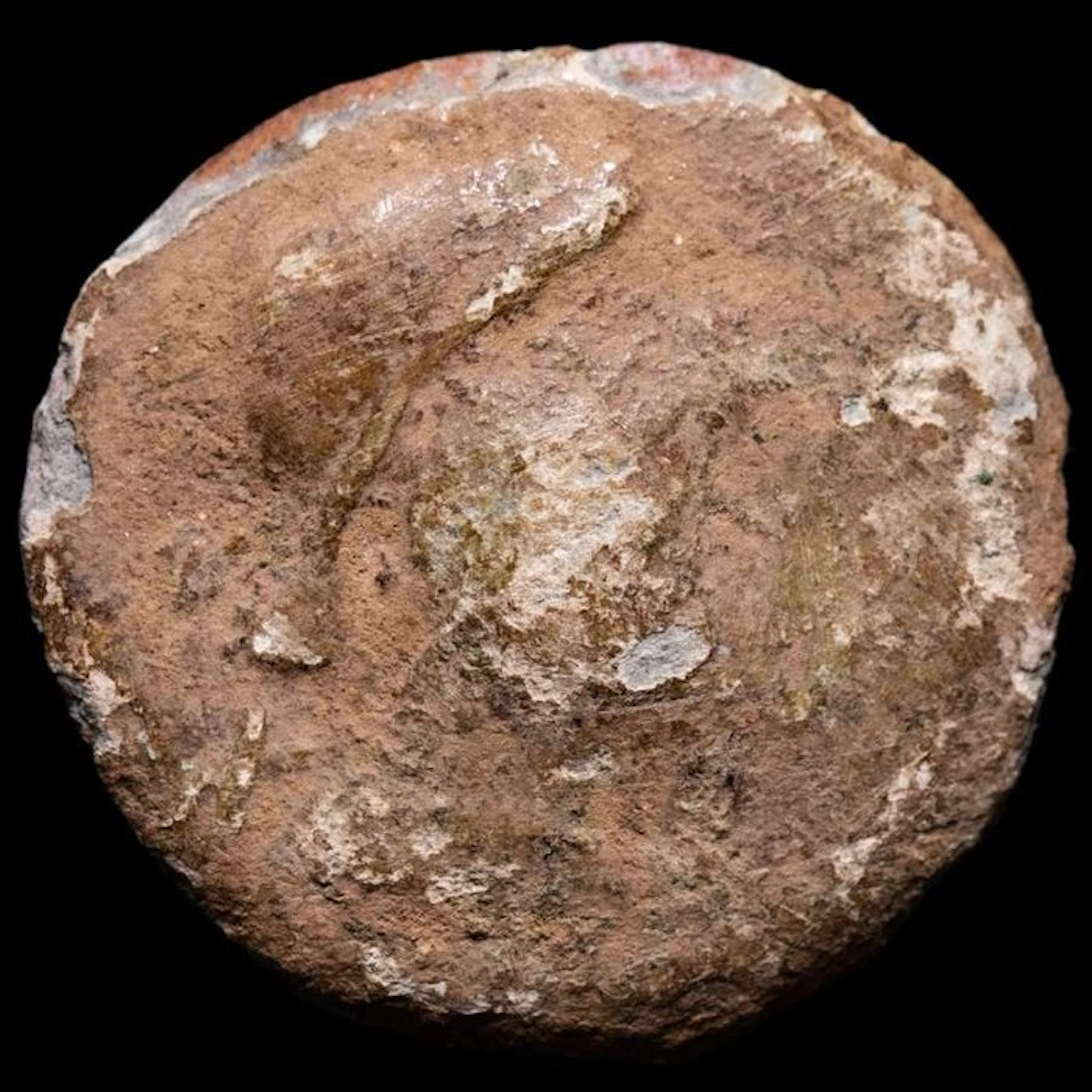 Ancient Hispania