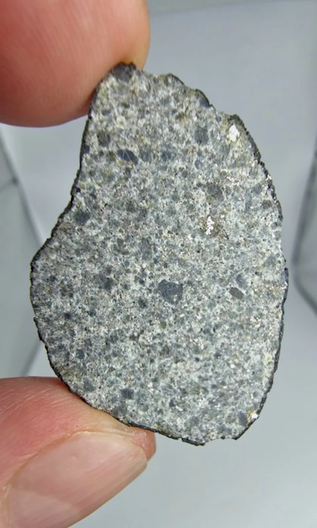Meteorite: El Menia L5