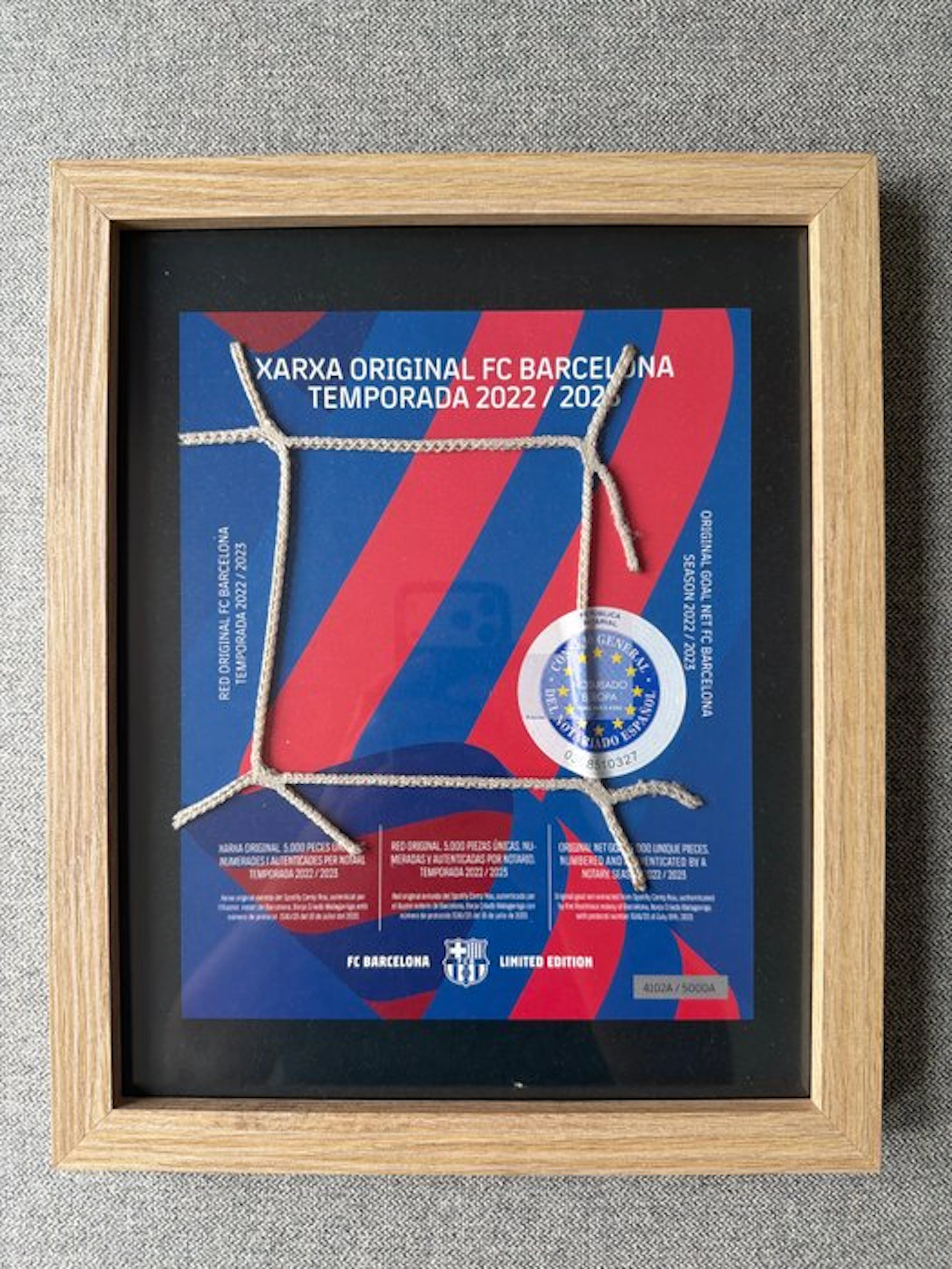 FC Barcelona - Spanish Football League - 2022 - Painting, Original goal net