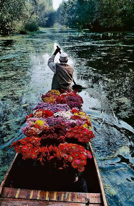 Steve McCurry (1950–) - Flower Seller. Dal Lake, Srinagar, Kashmir. 1996.