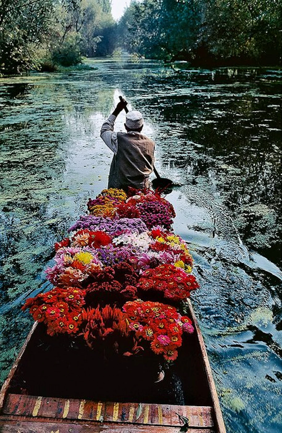 Steve McCurry (1950–) - Flower Seller. Dal Lake, Srinagar, Kashmir. 1996.