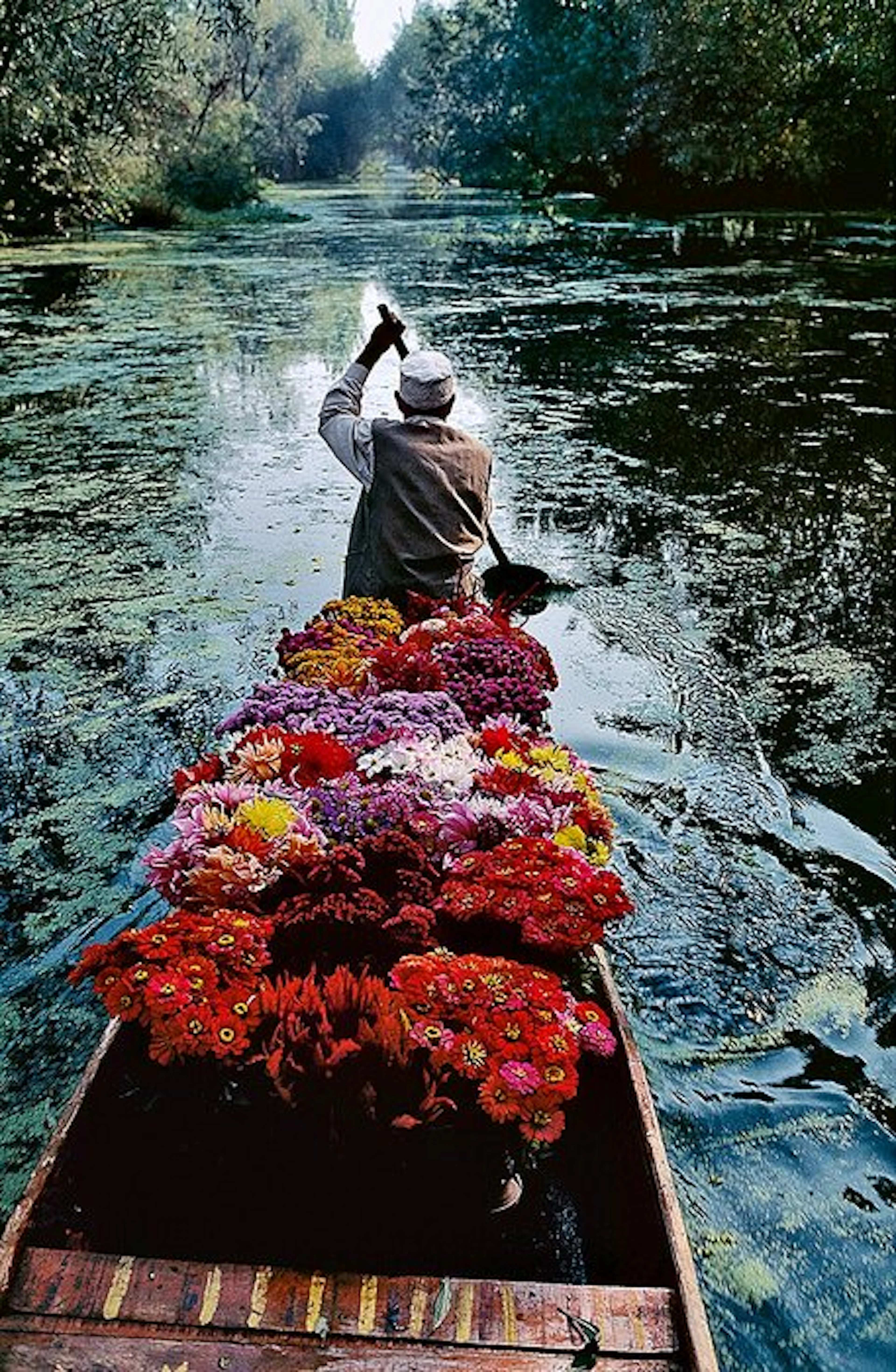 Steve McCurry (1950–) - Flower Seller. Dal Lake, Srinagar, Kashmir. 1996.