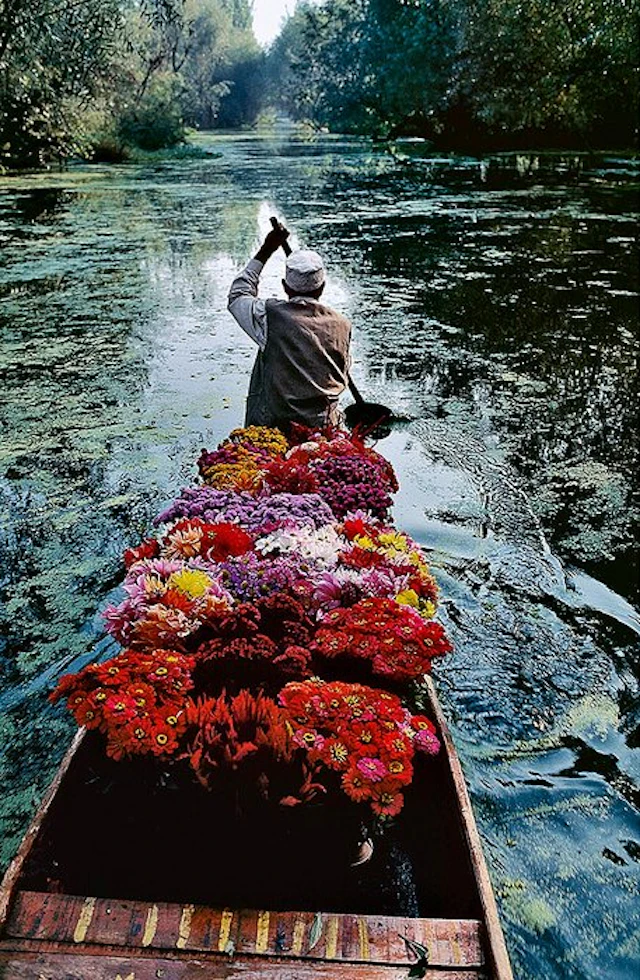 Steve McCurry (1950–) - Flower Seller. Dal Lake, Srinagar, Kashmir. 1996.