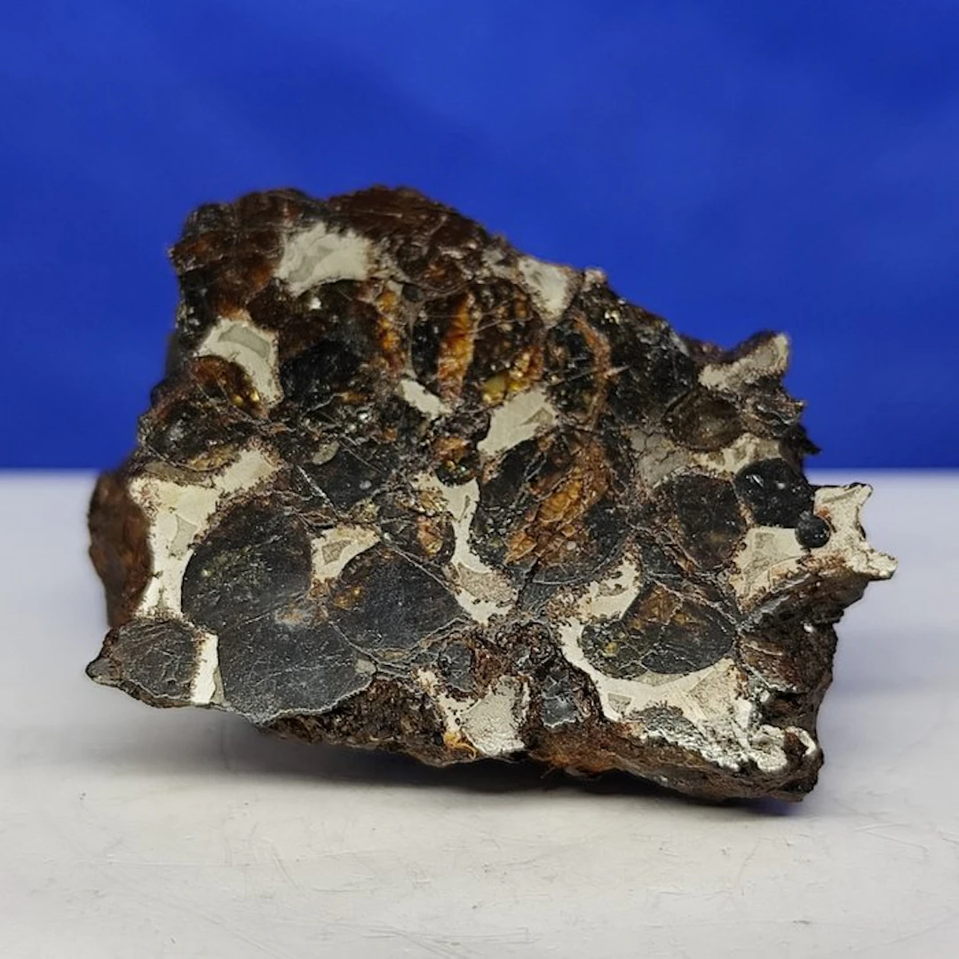 endcut- PALLASITE Meteorite