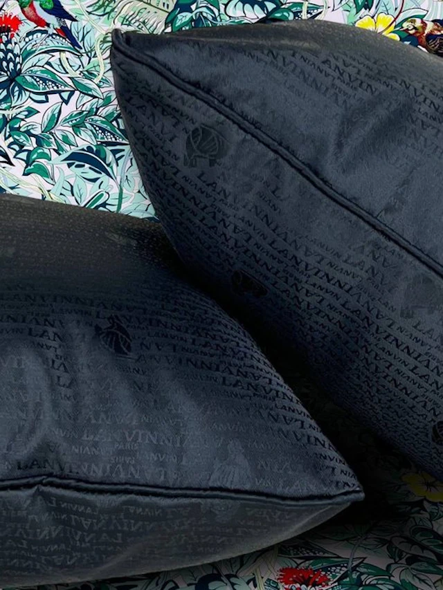 Lanvin - New set of two - Cushion