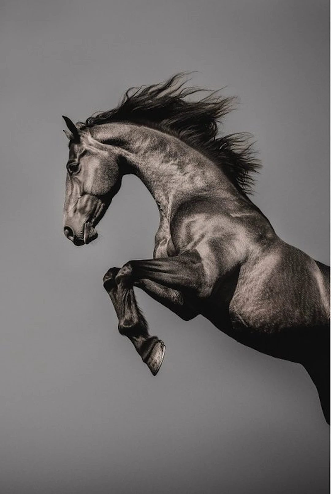 Jorge Omeñaca (1981) - Horse attack - Bronze