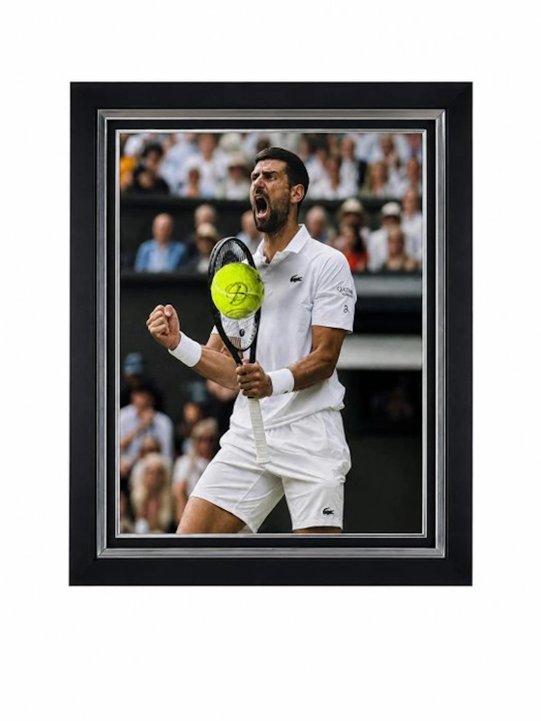 Novak Djokovic Singed Tennis Ball - Premium Frame - Tennis ball