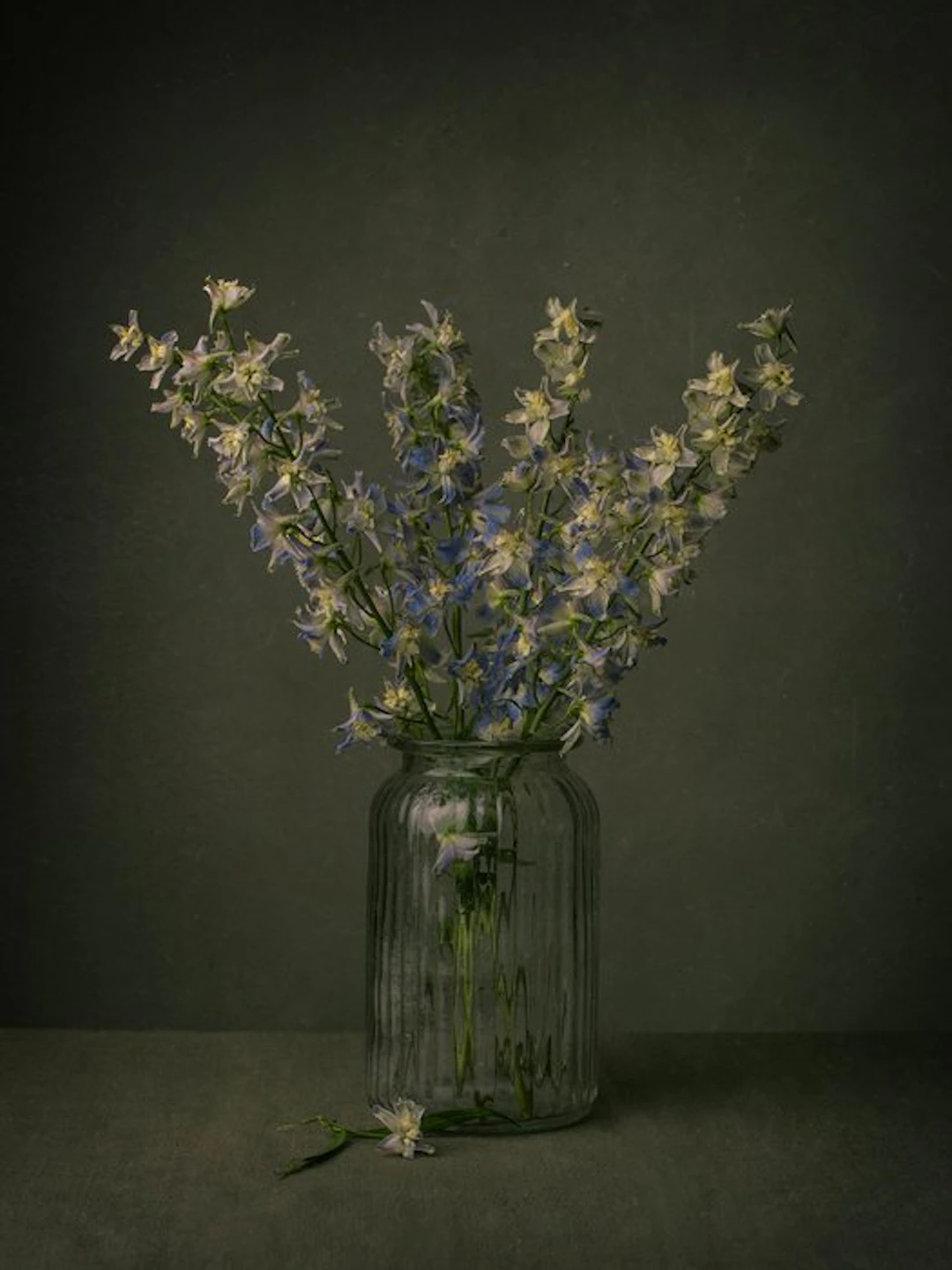 Tessa Posthuma de Boer - Monkshood #3