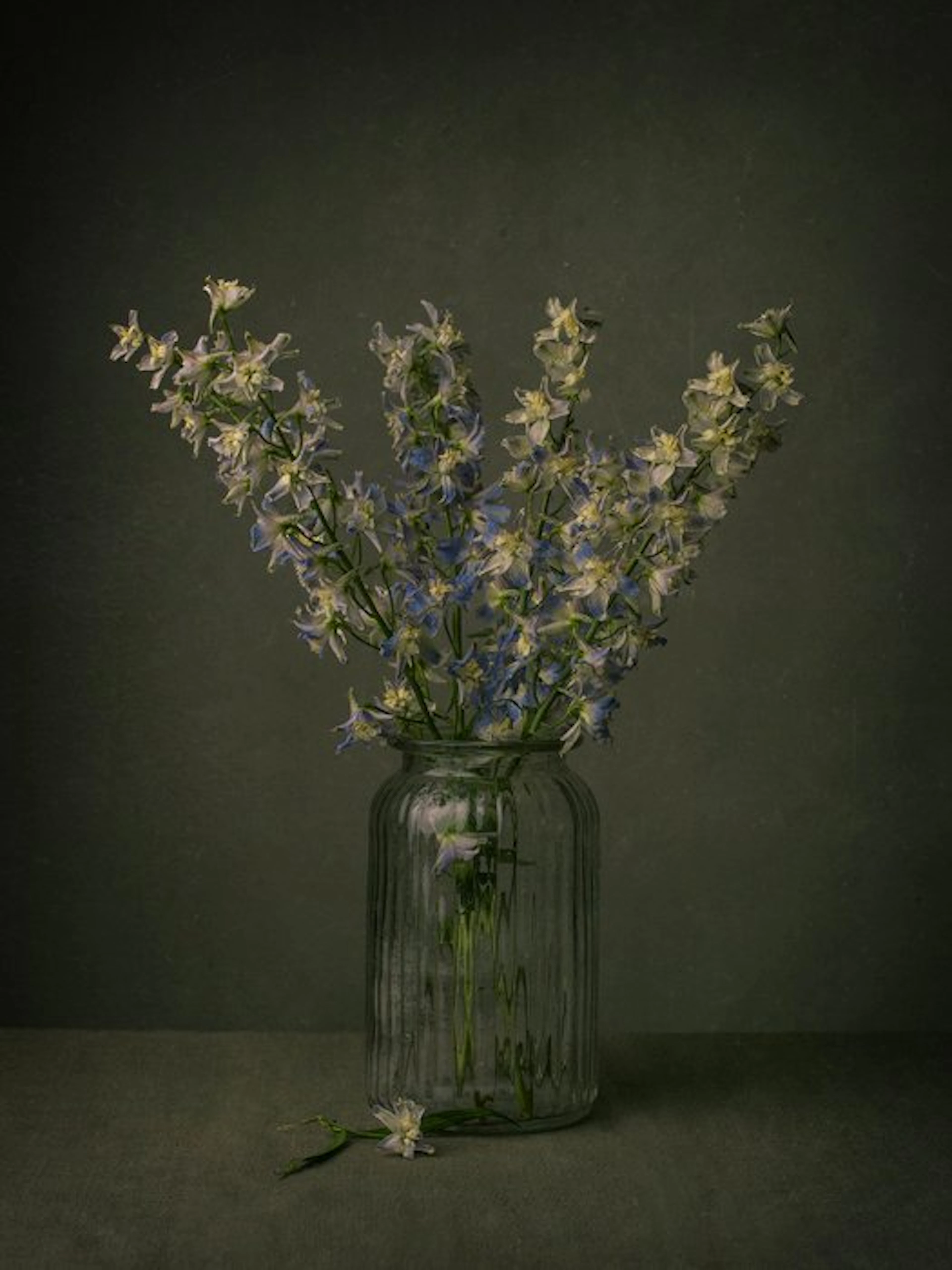 Tessa Posthuma de Boer - Monkshood #3