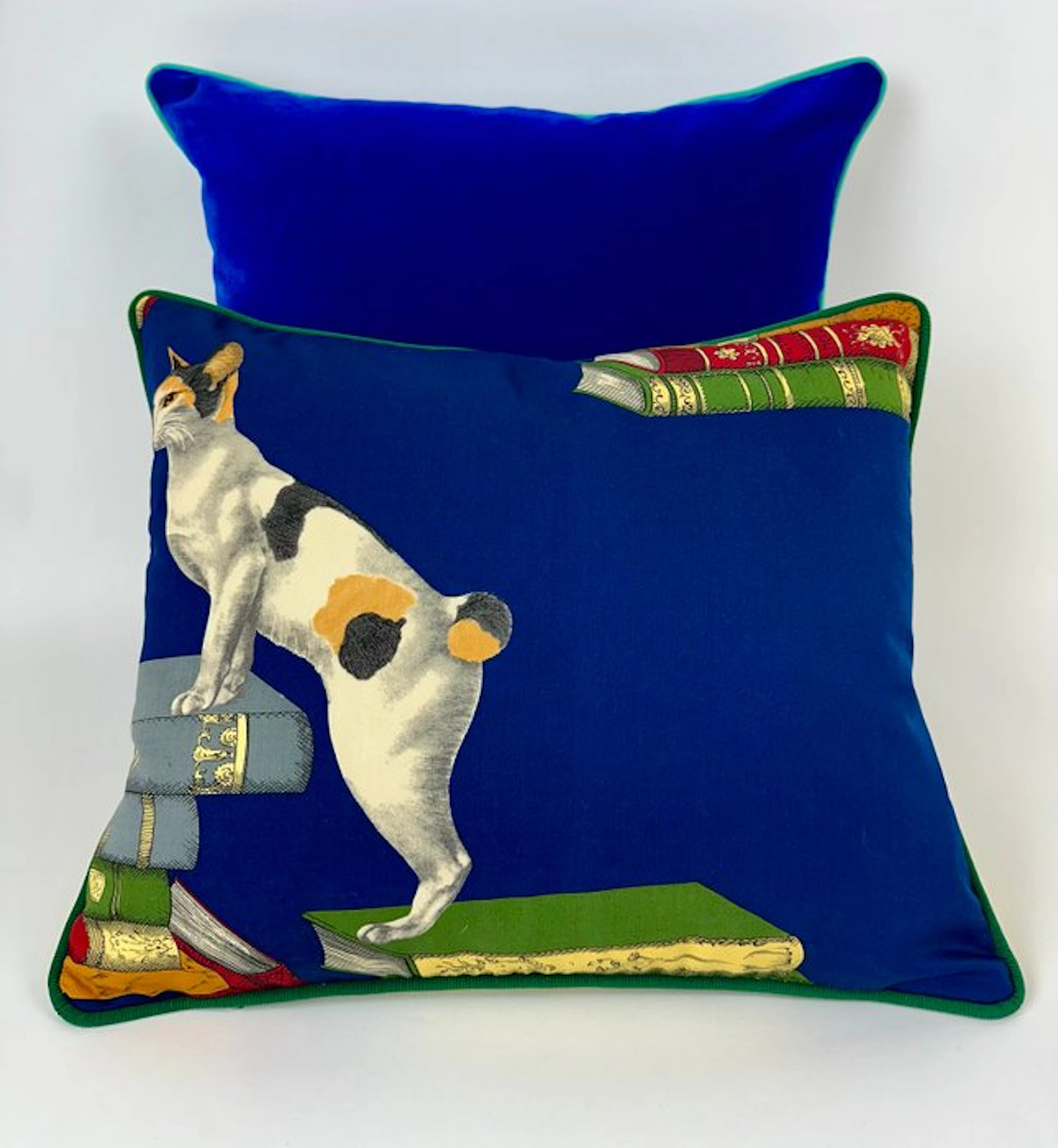 Fornasetti "Gatti su libri" - Cushion (2)
