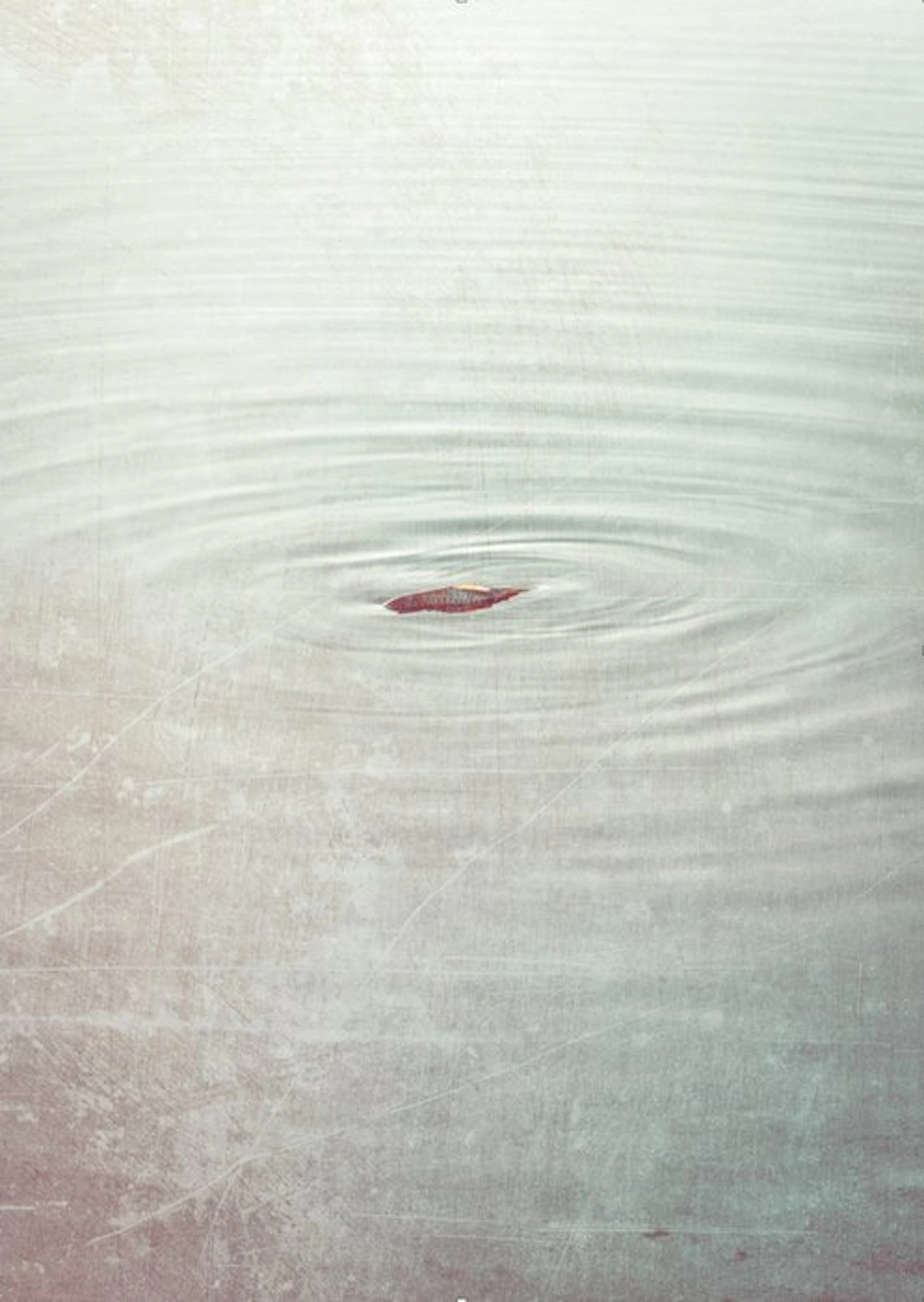 Jorge Omeñaca - Life Circles