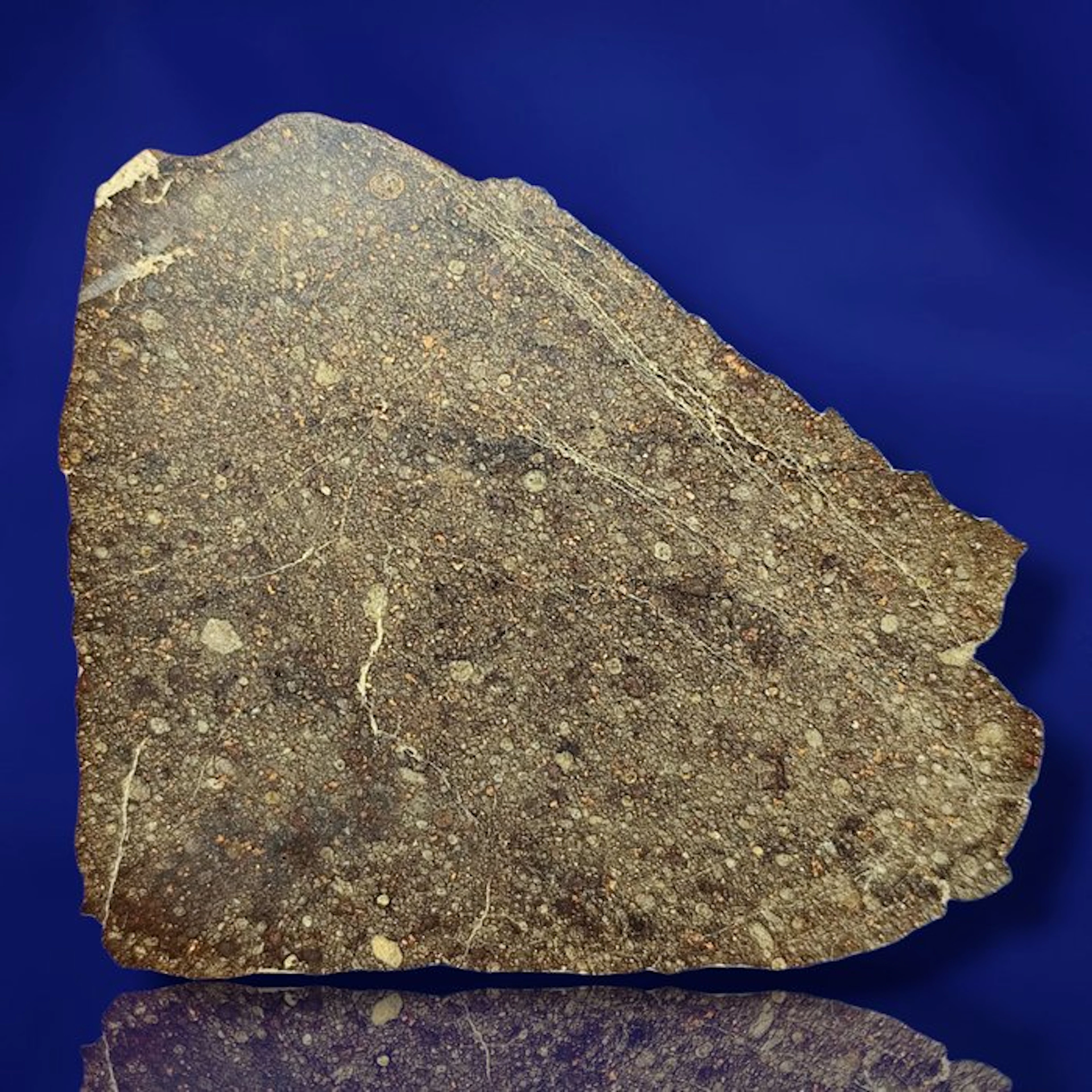 (9.5 cm!!!) -Only 3.9 Kg in the World- RUMURUTI R3 Chondrite Meteorite
