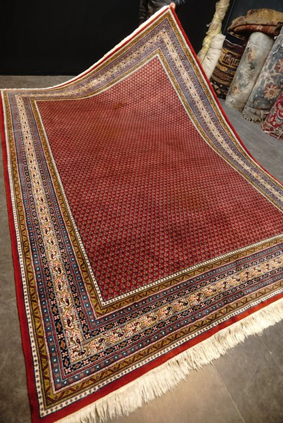 Sarough Mir - Carpet - 345 cm - 252 cm