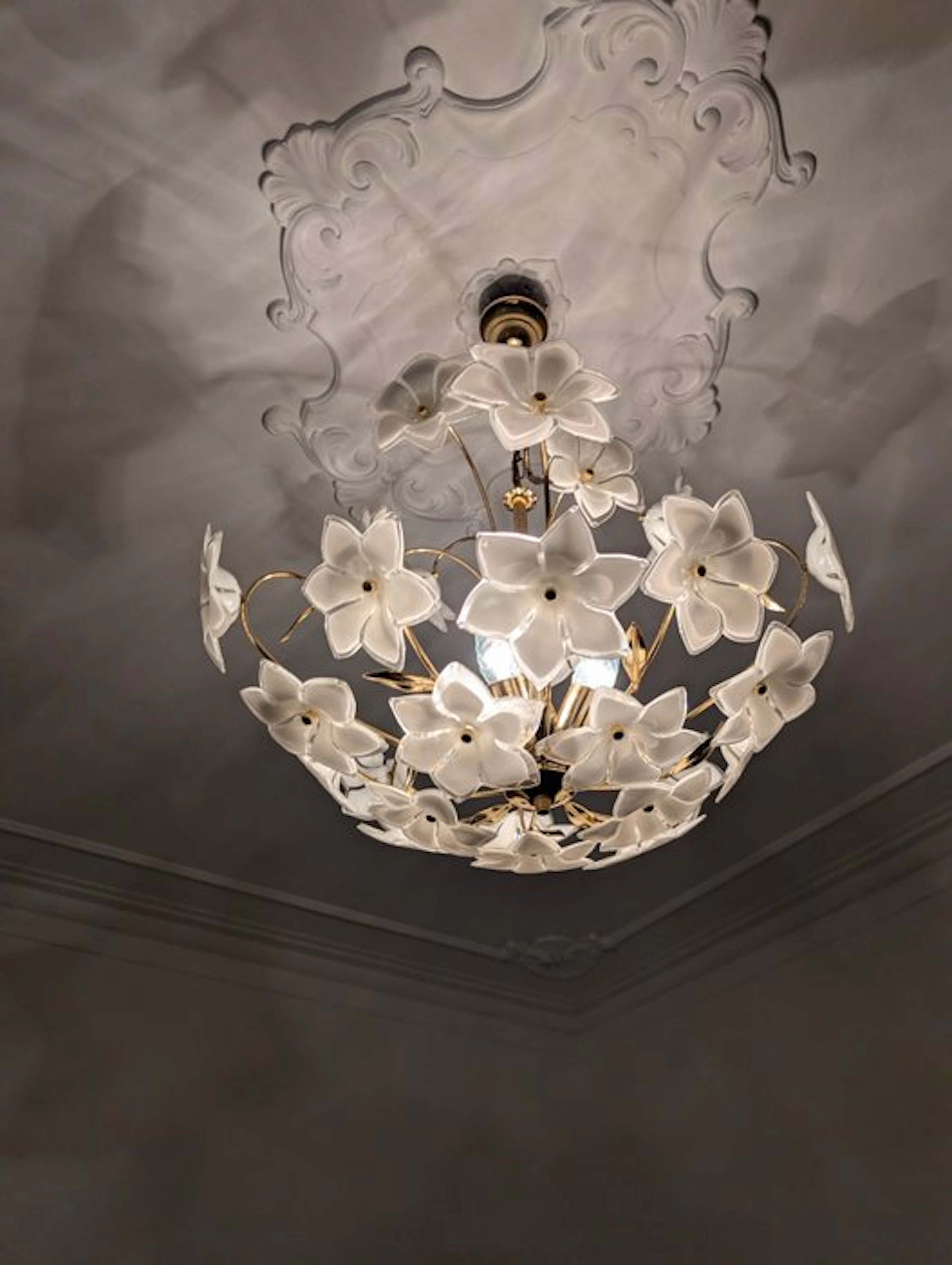 Murano - Chandelier - Glass - Murano daisies