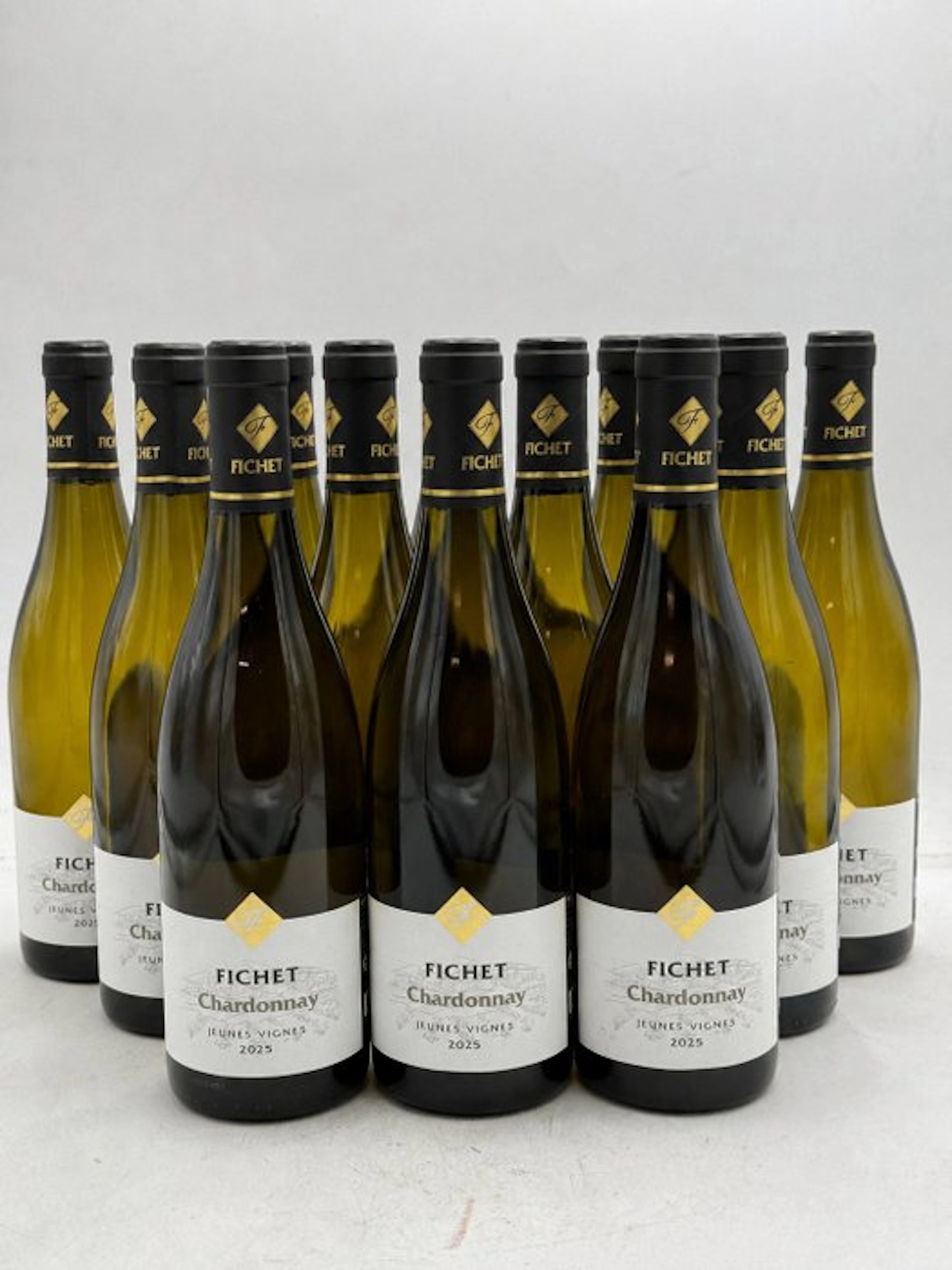 2025 Domaine Fichet Chardonnay Jeunes Vignes - Burgundy - 12 Bottles (0.75L)
