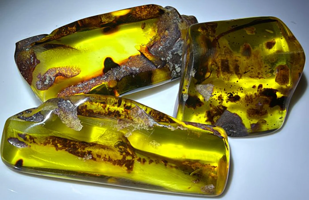Dominican Amber!! AAA Quality!!- 70 g