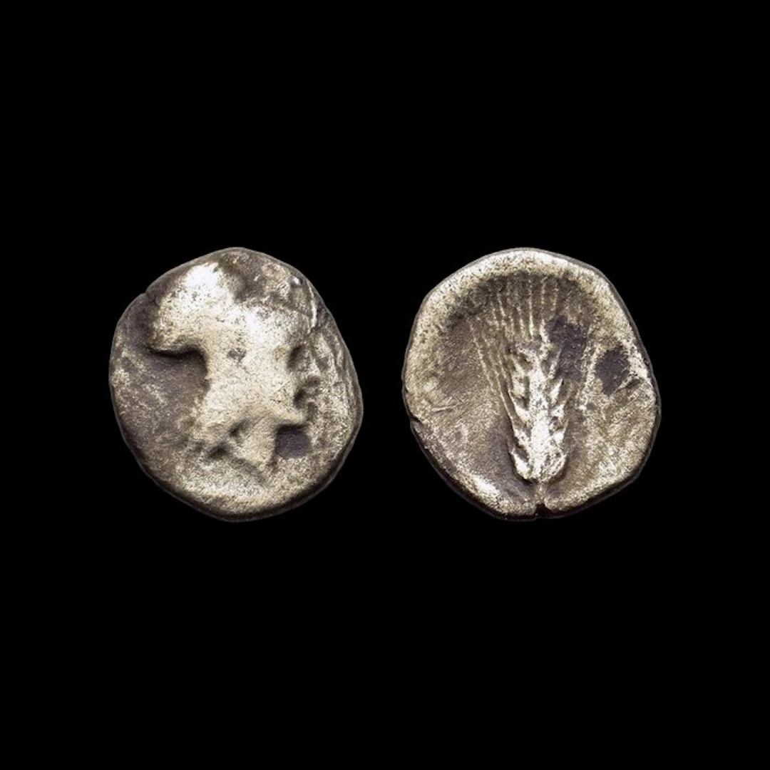 Lucania, Metapontion Diobol Ca. 325-275 BC (No reserve price)