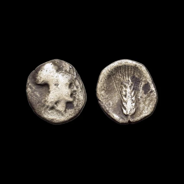 Lucania, Metapontion Diobol Ca. 325-275 BC (No reserve price)