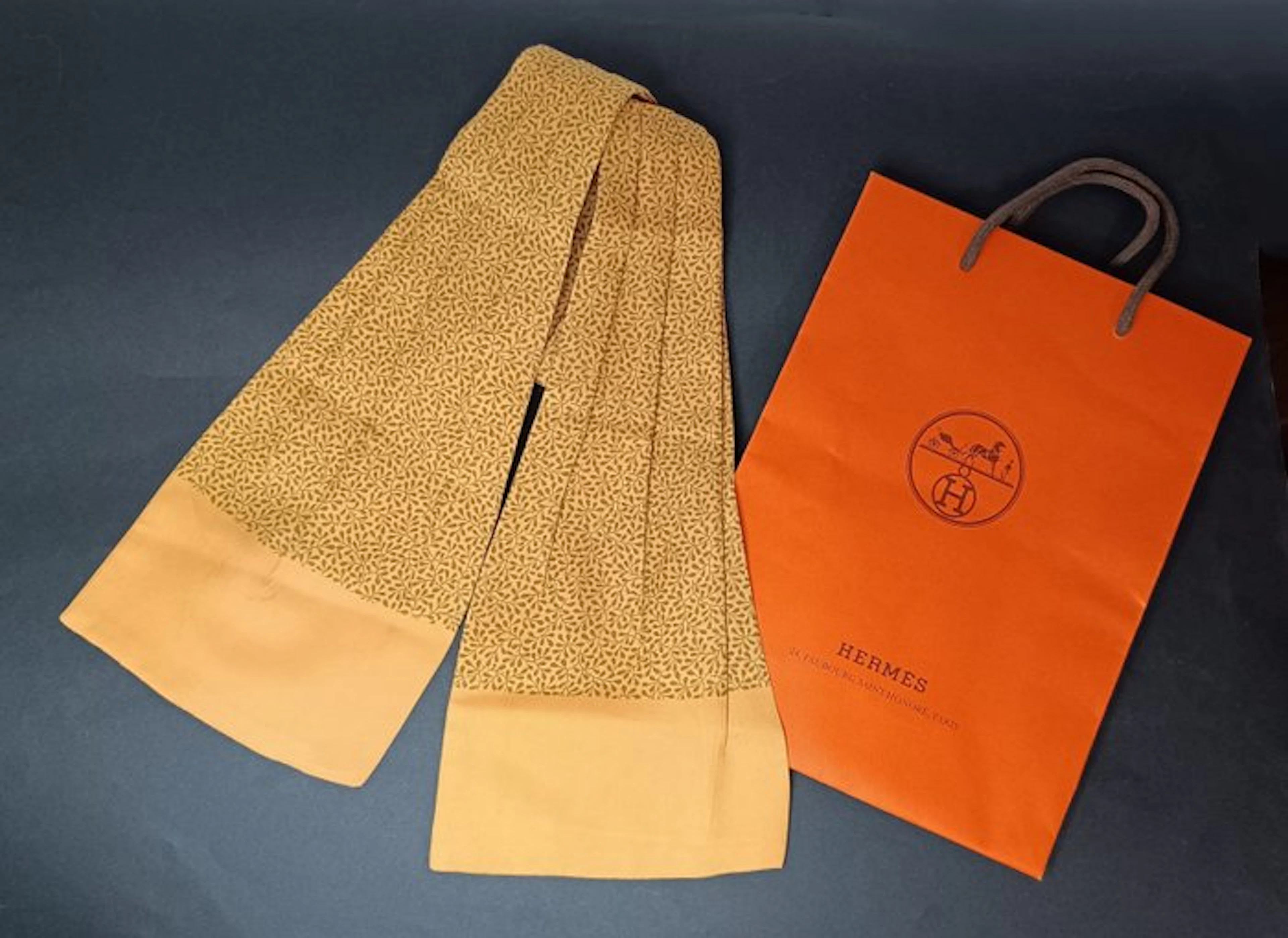 Hermès - Ascot-Cravatta - Scarf